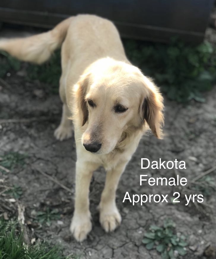 Dakota 