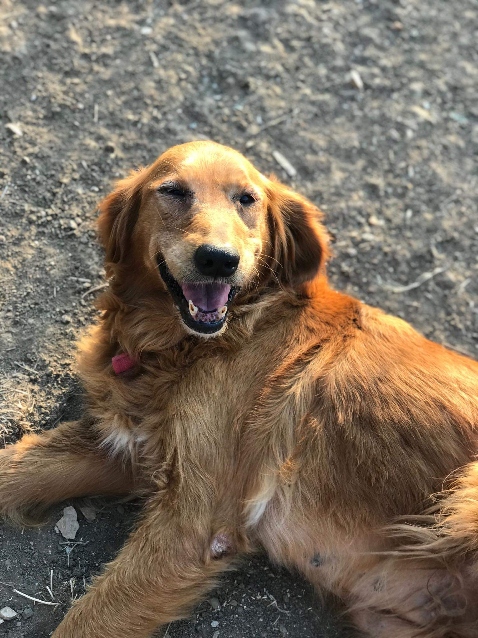 Susie
