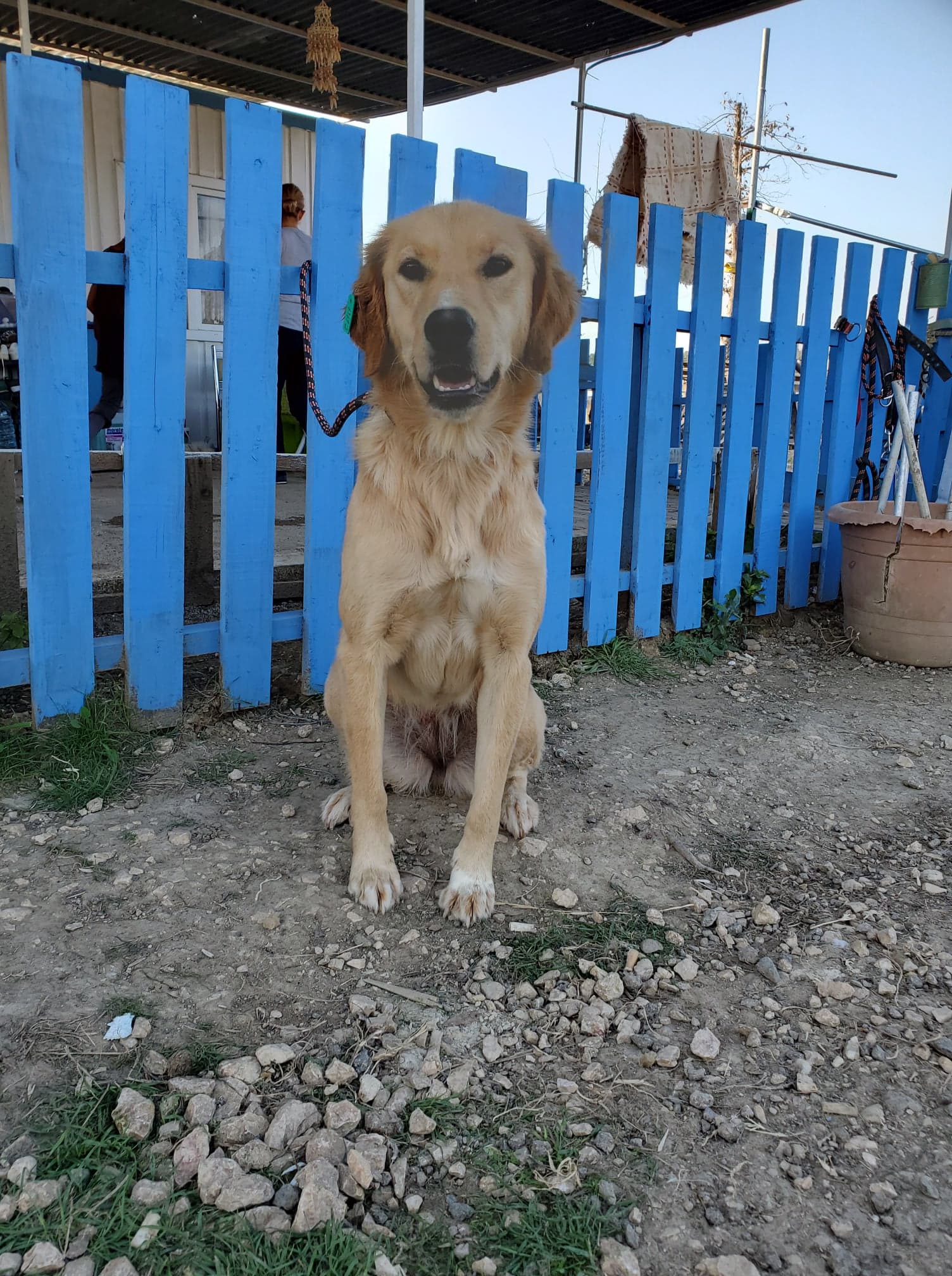 Nala (fka Nancy) 