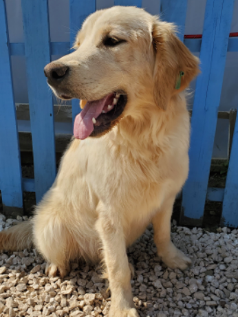 Milo
