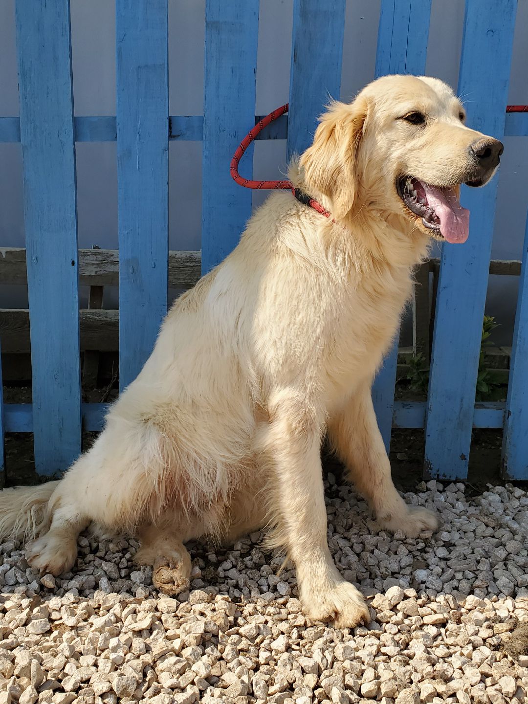 Milo