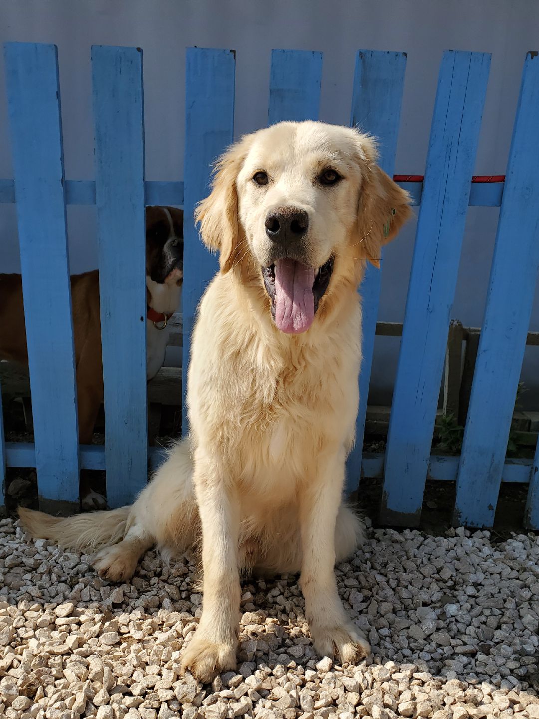 Milo