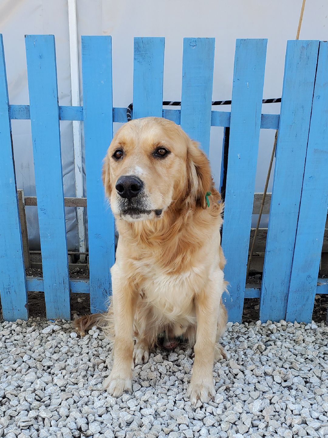 Leroy