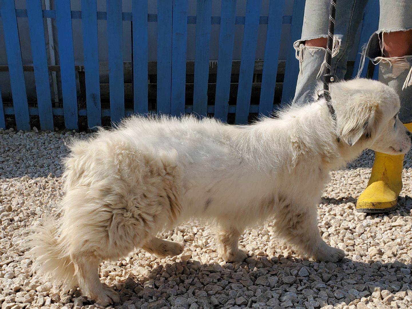 Tula (fka Alice)
