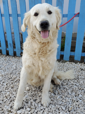 Bella (fka Miray)