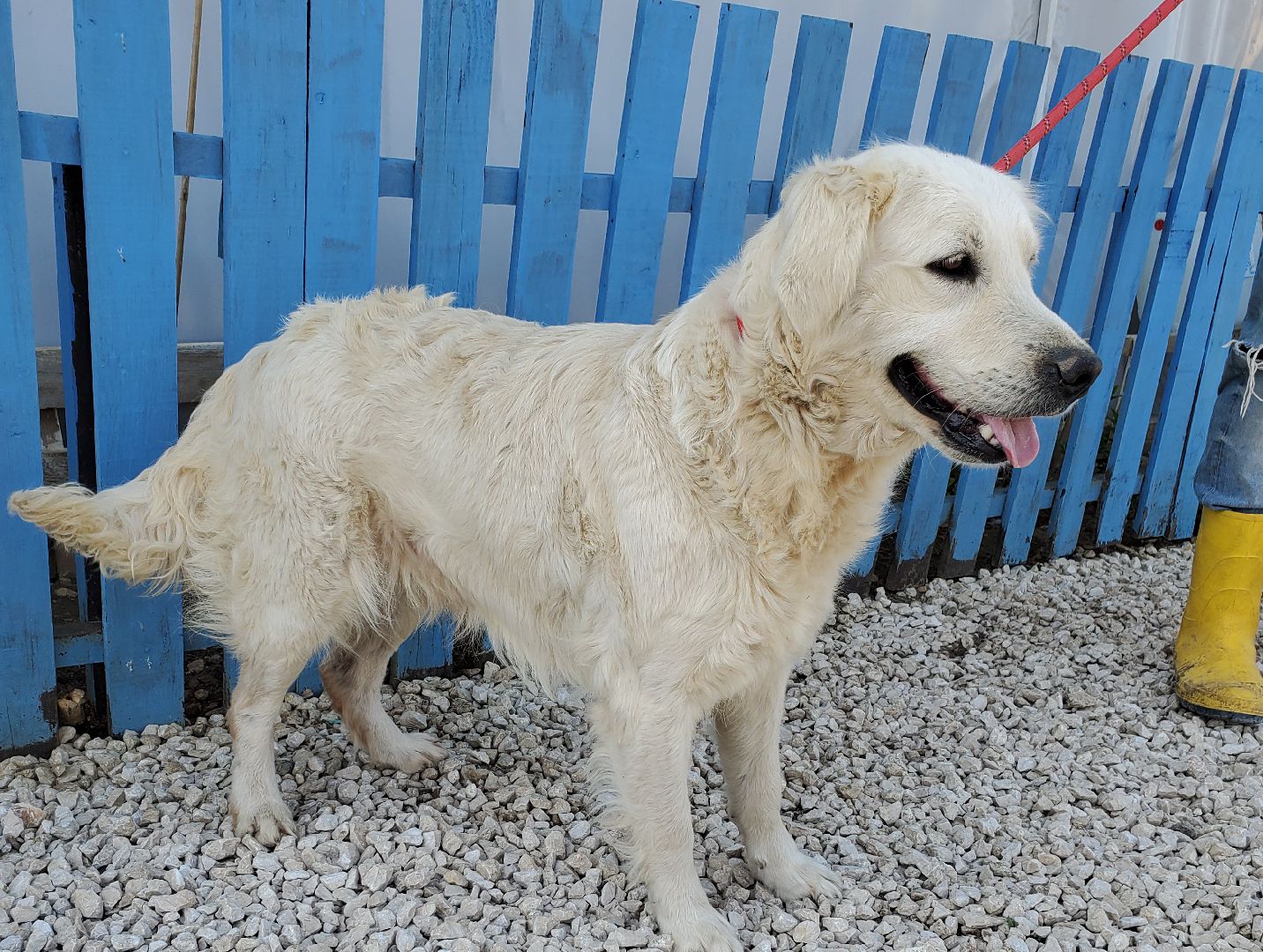 Bella (fka Miray)