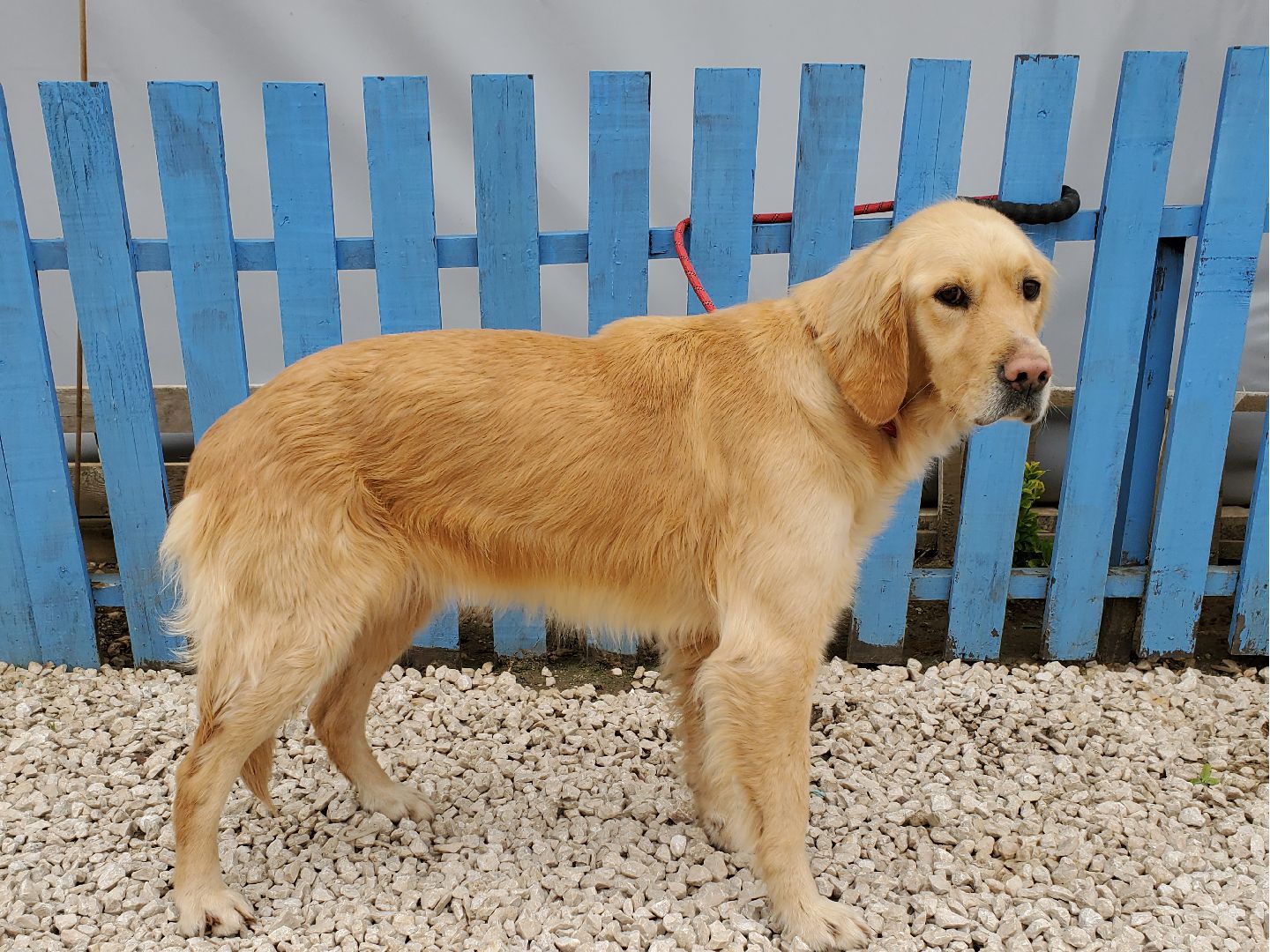 Sadie (fka Julie) 
