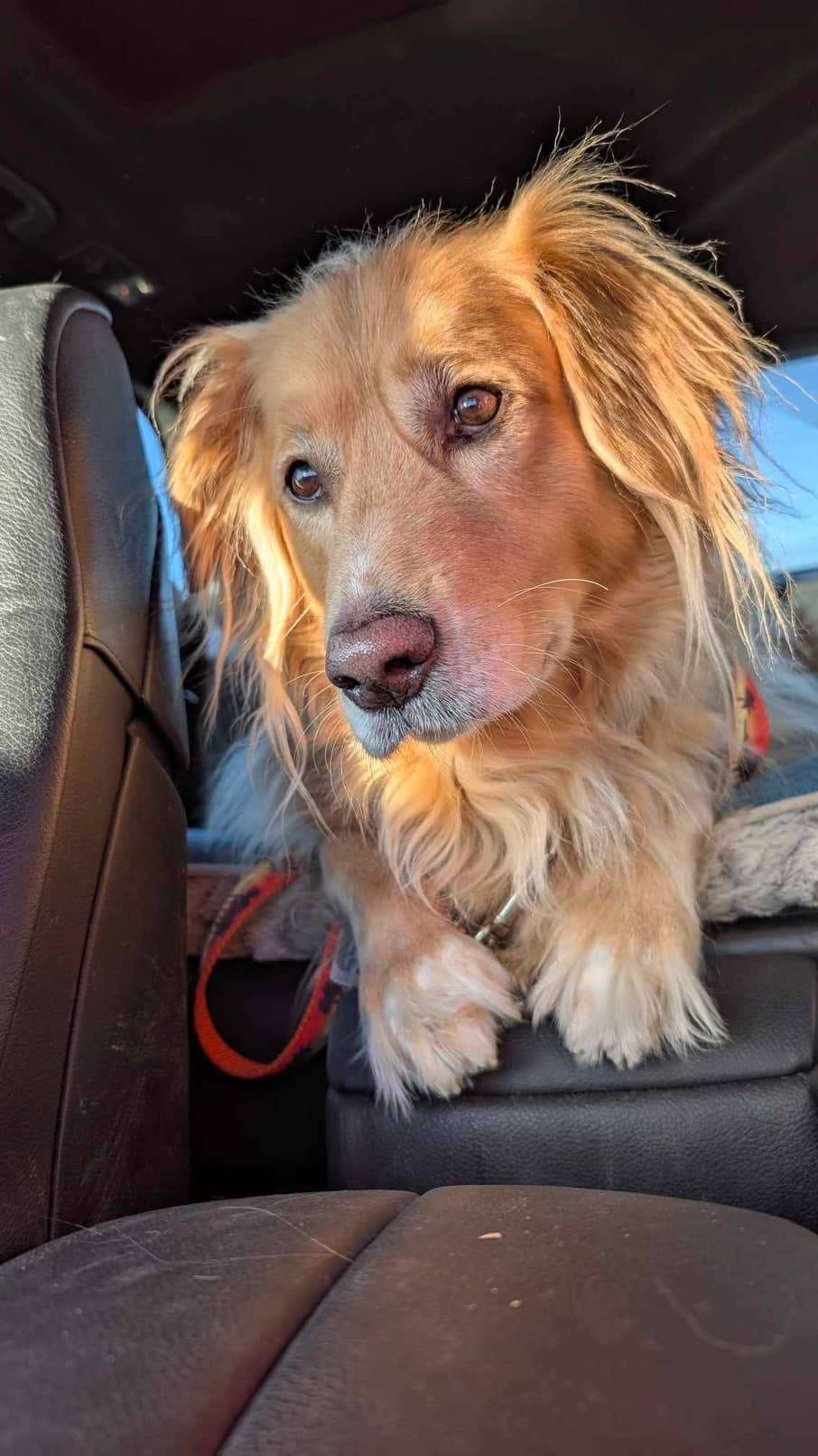 Monty - Application Limit Exceeded