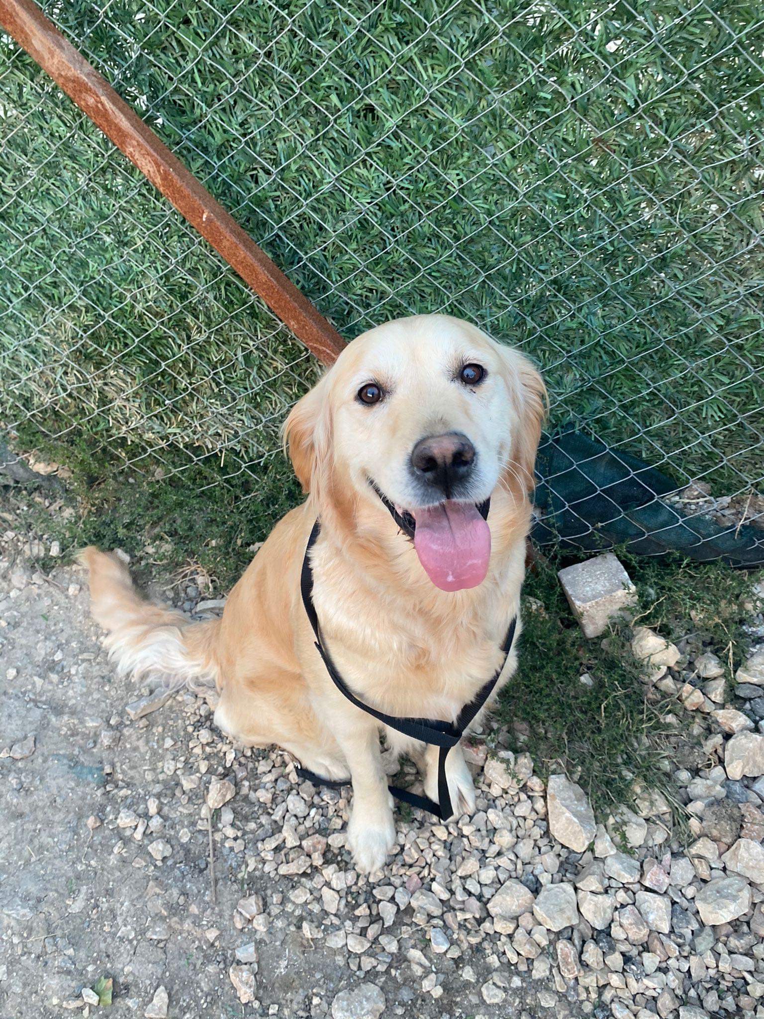 Winnie