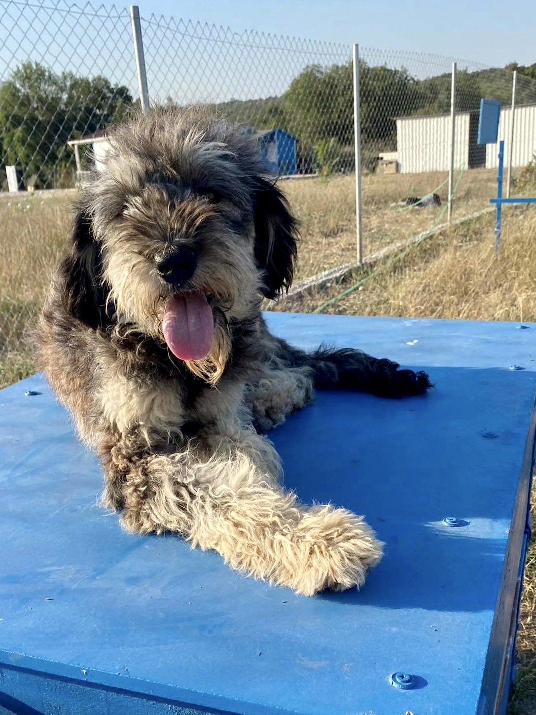 Lucy (fka Ellaria)