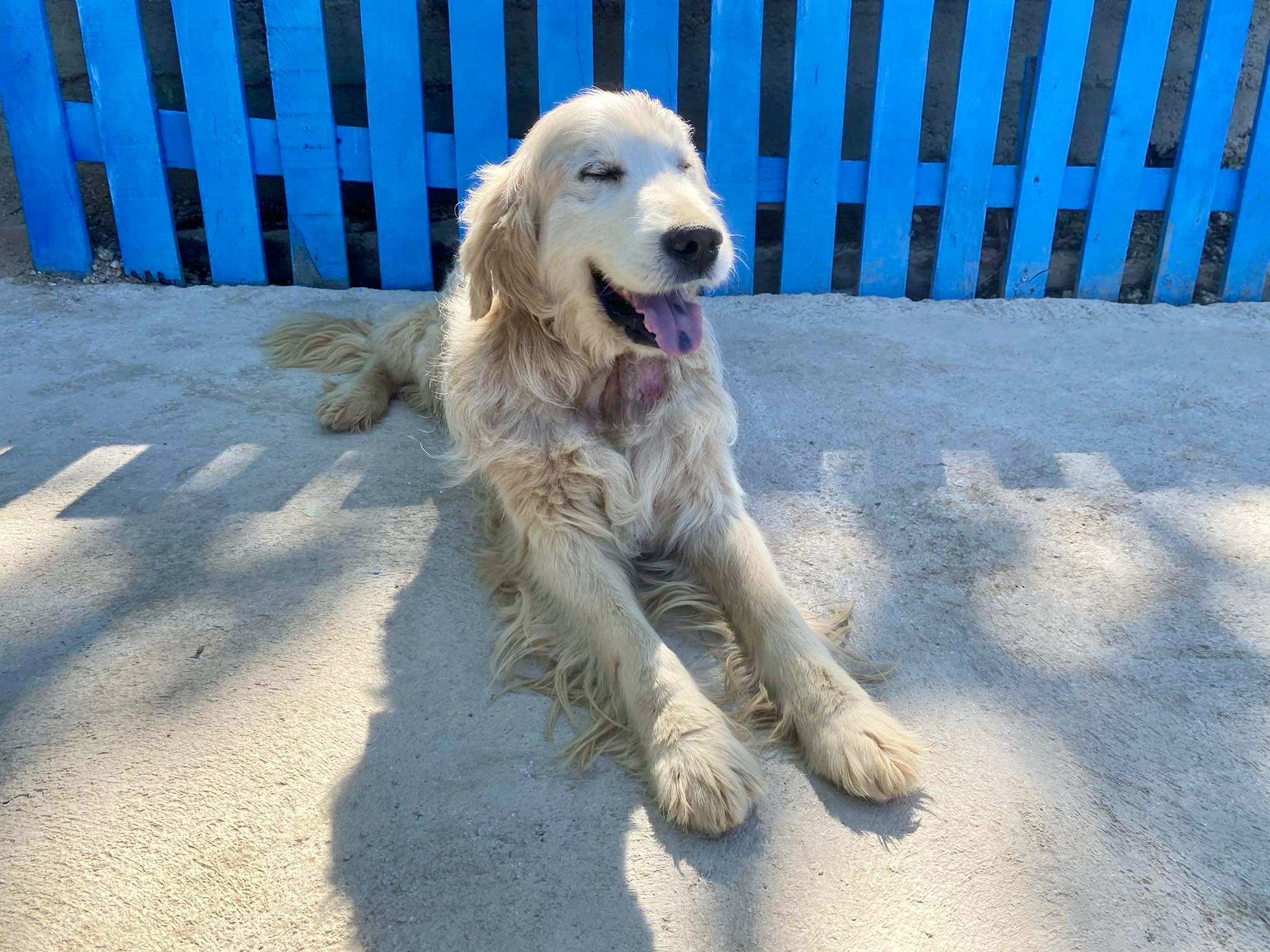 Sunny (fka Butus)