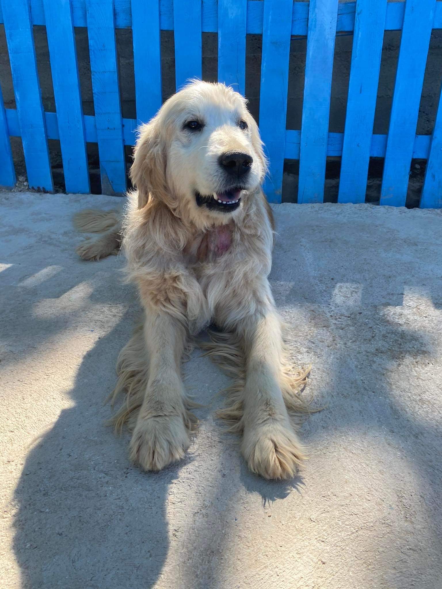 Sunny (fka Butus)