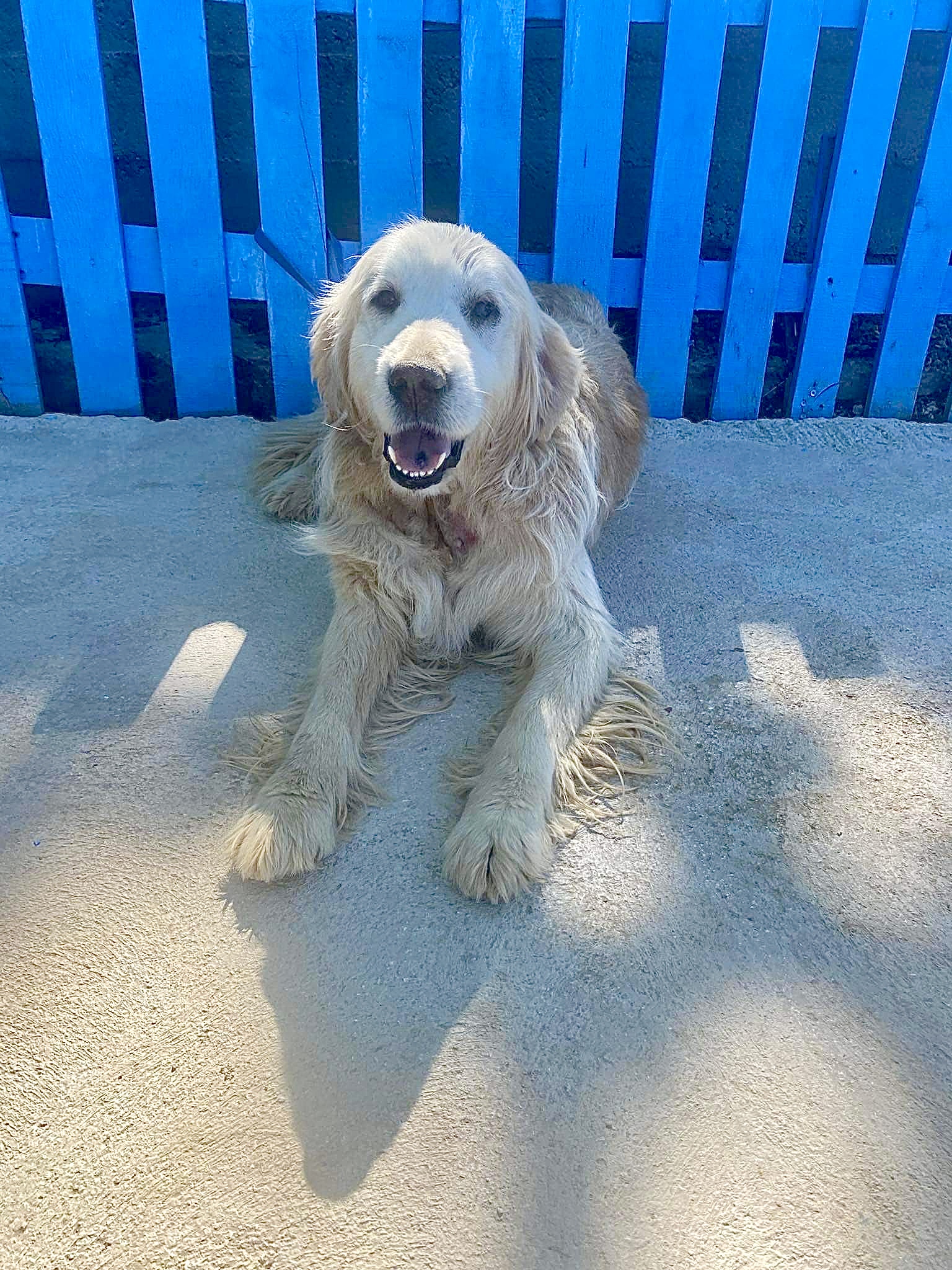 Sunny (fka Butus)