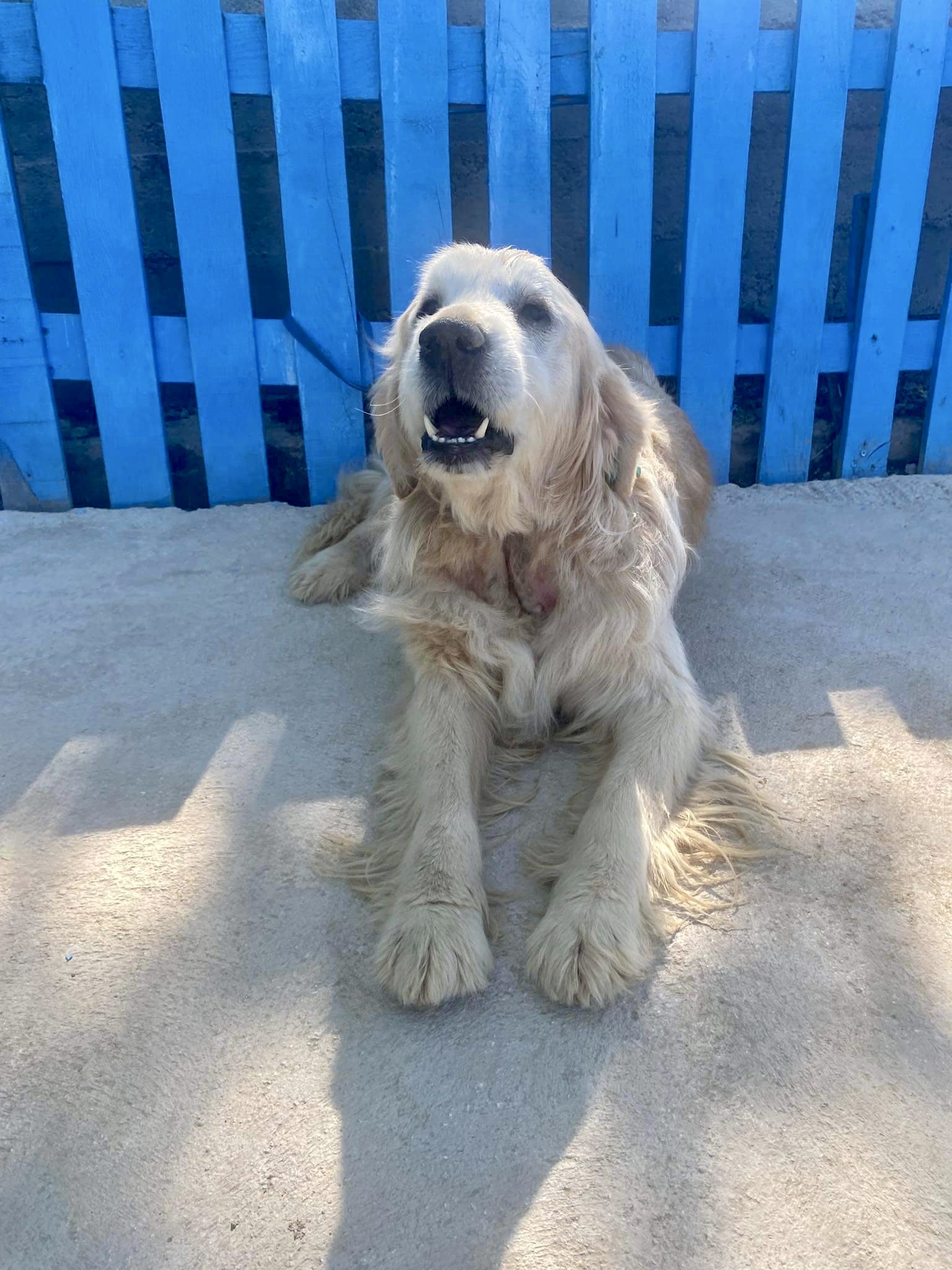 Sunny (fka Butus)