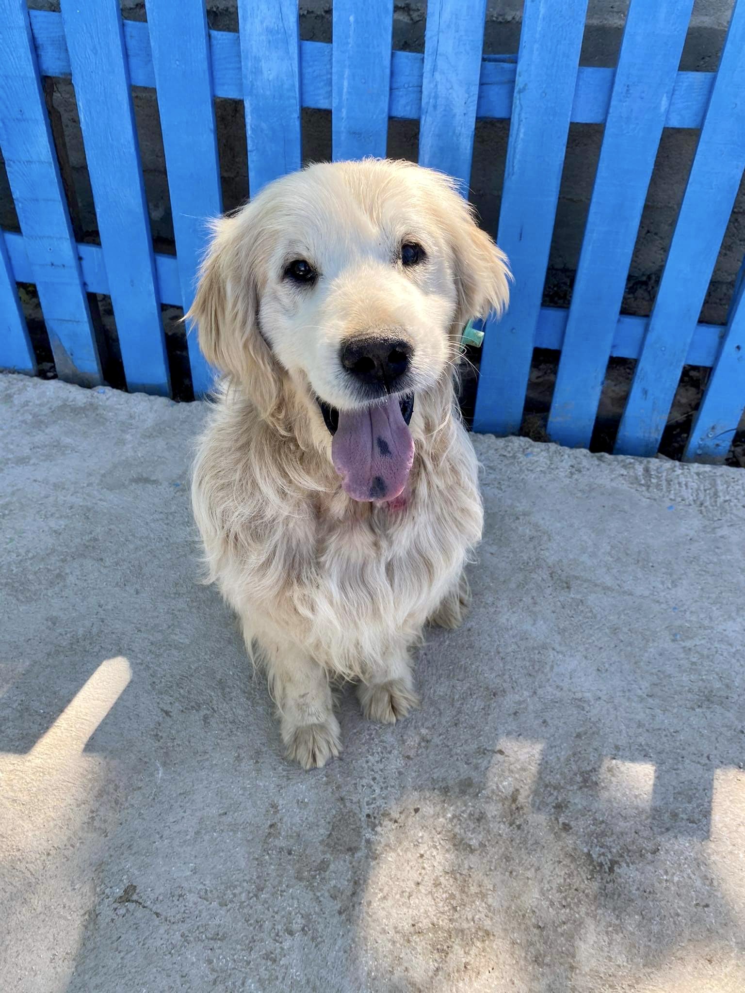 Sunny (fka Butus)