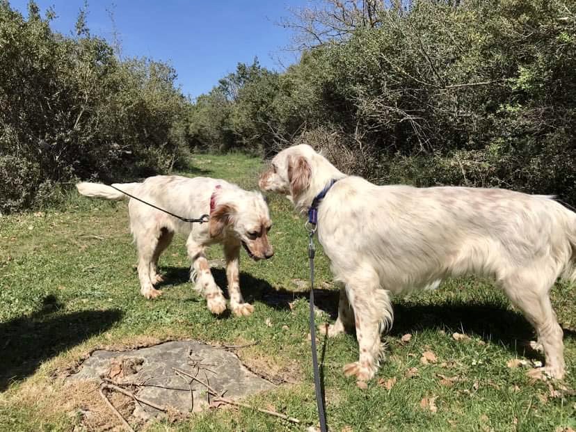 Sea and Beach - BONDED PAIR