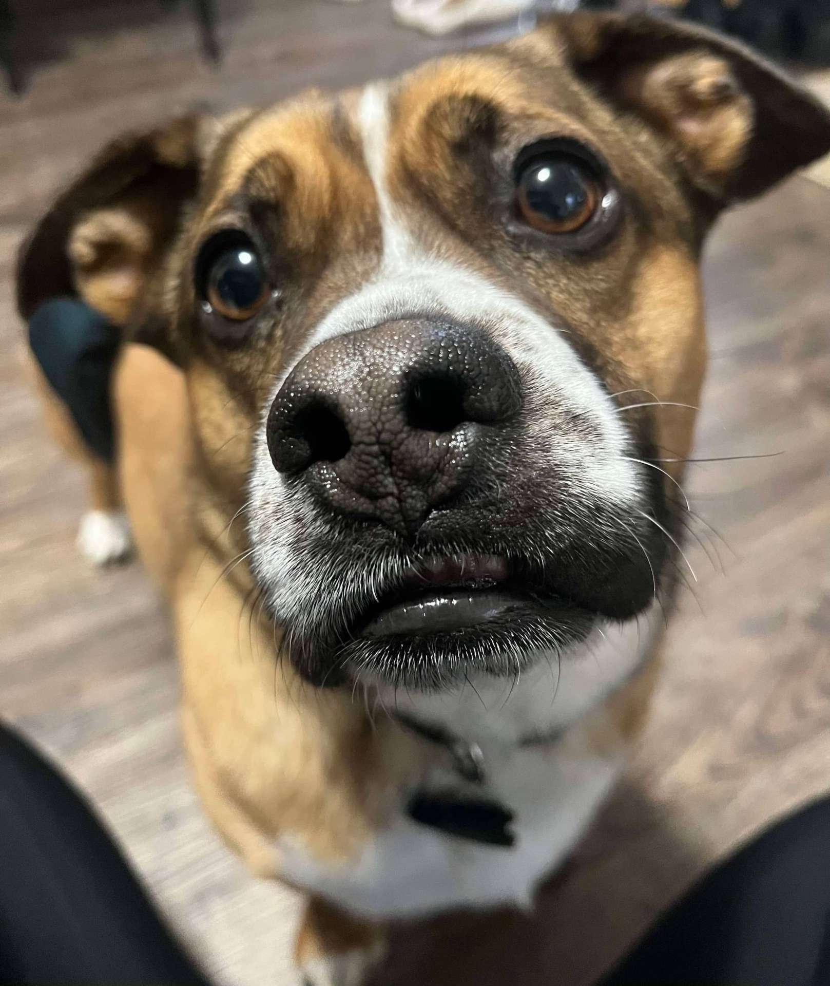 Tucker 