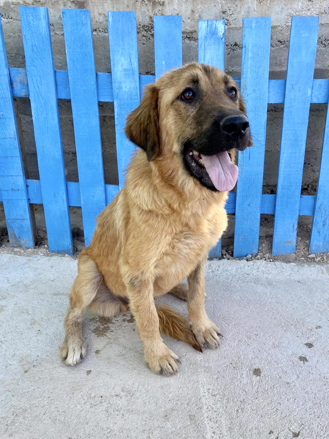 Pepper (fka Tulip)