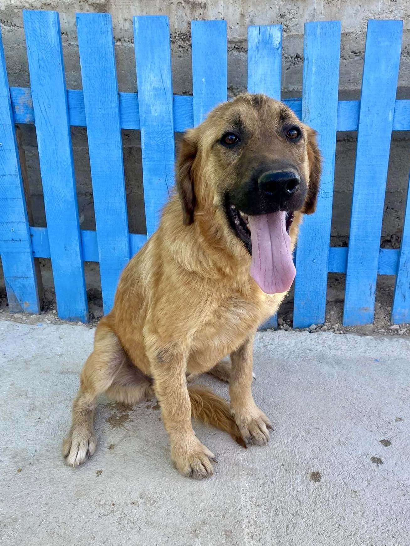 Pepper (fka Tulip)