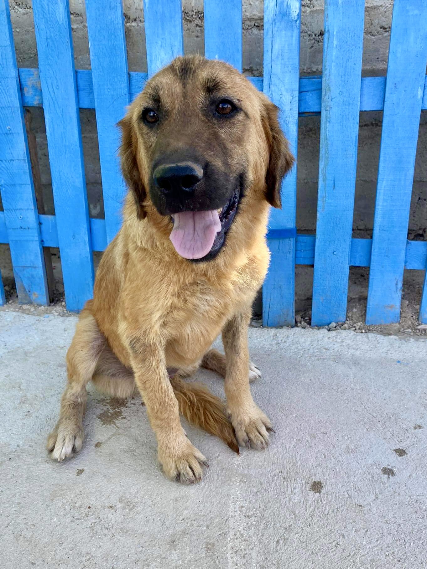 Pepper (fka Tulip)