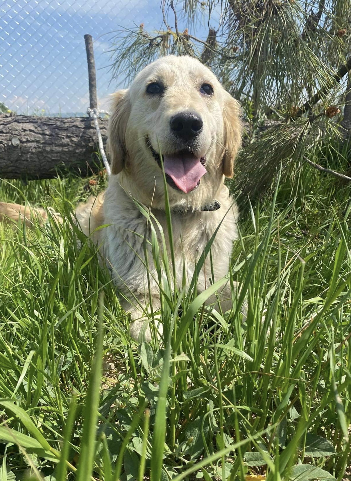 Sandra