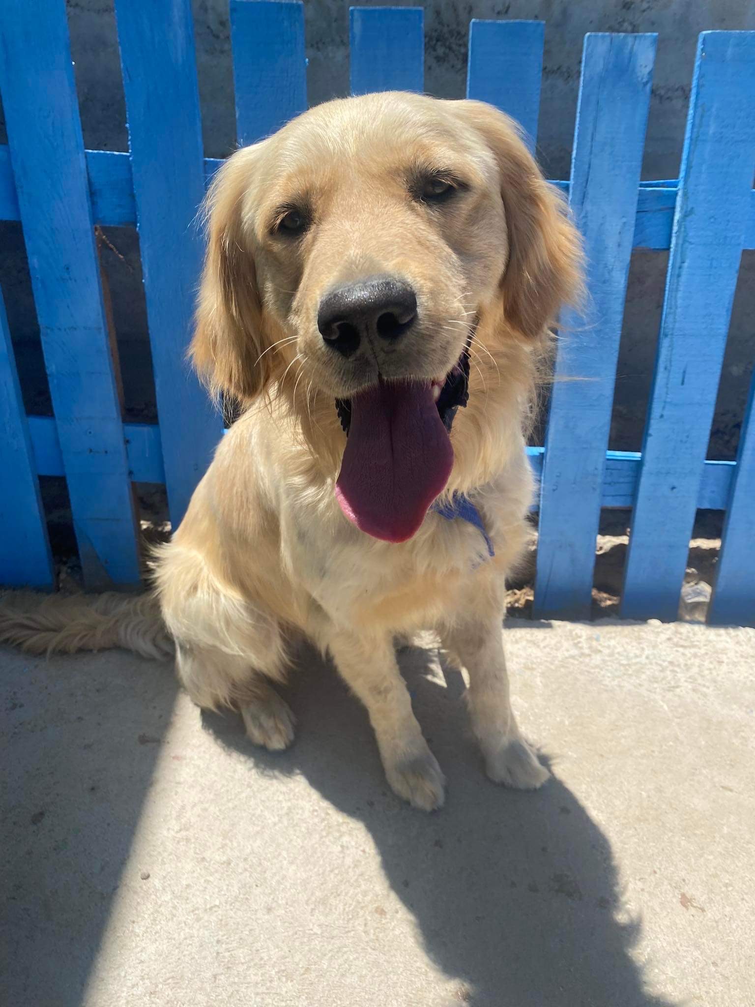 Nash