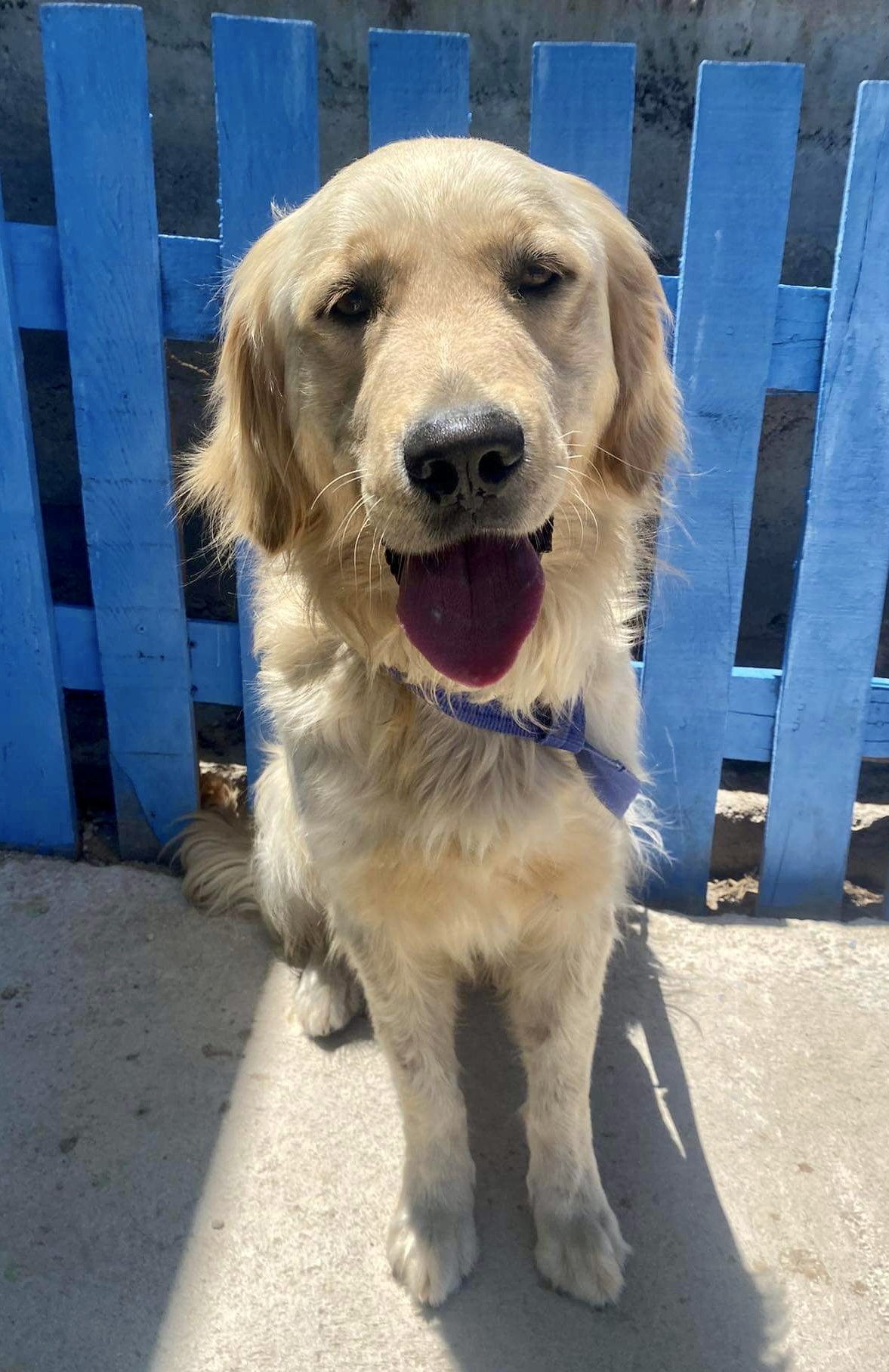 Nash