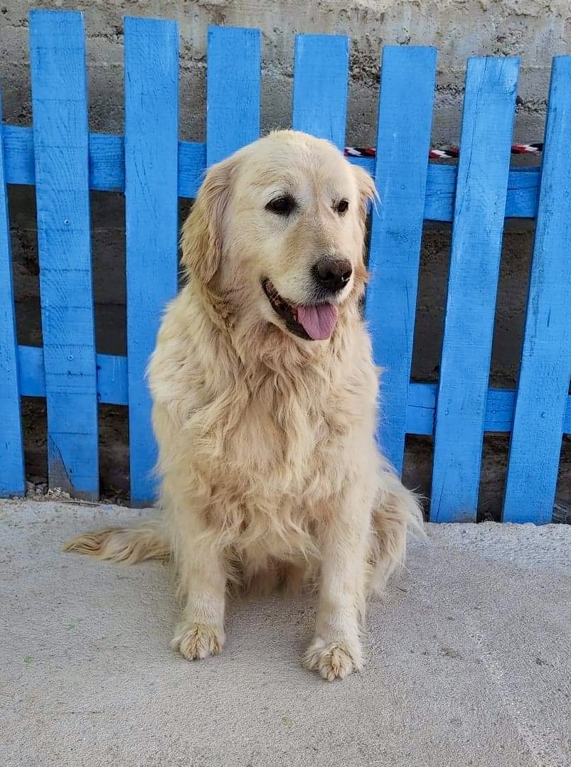 Margot (fka Myrtle) 