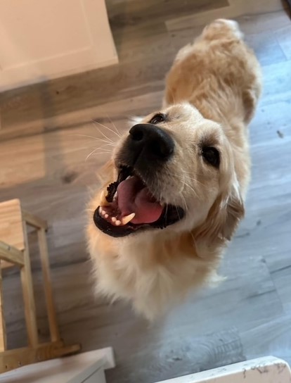 Cosmo