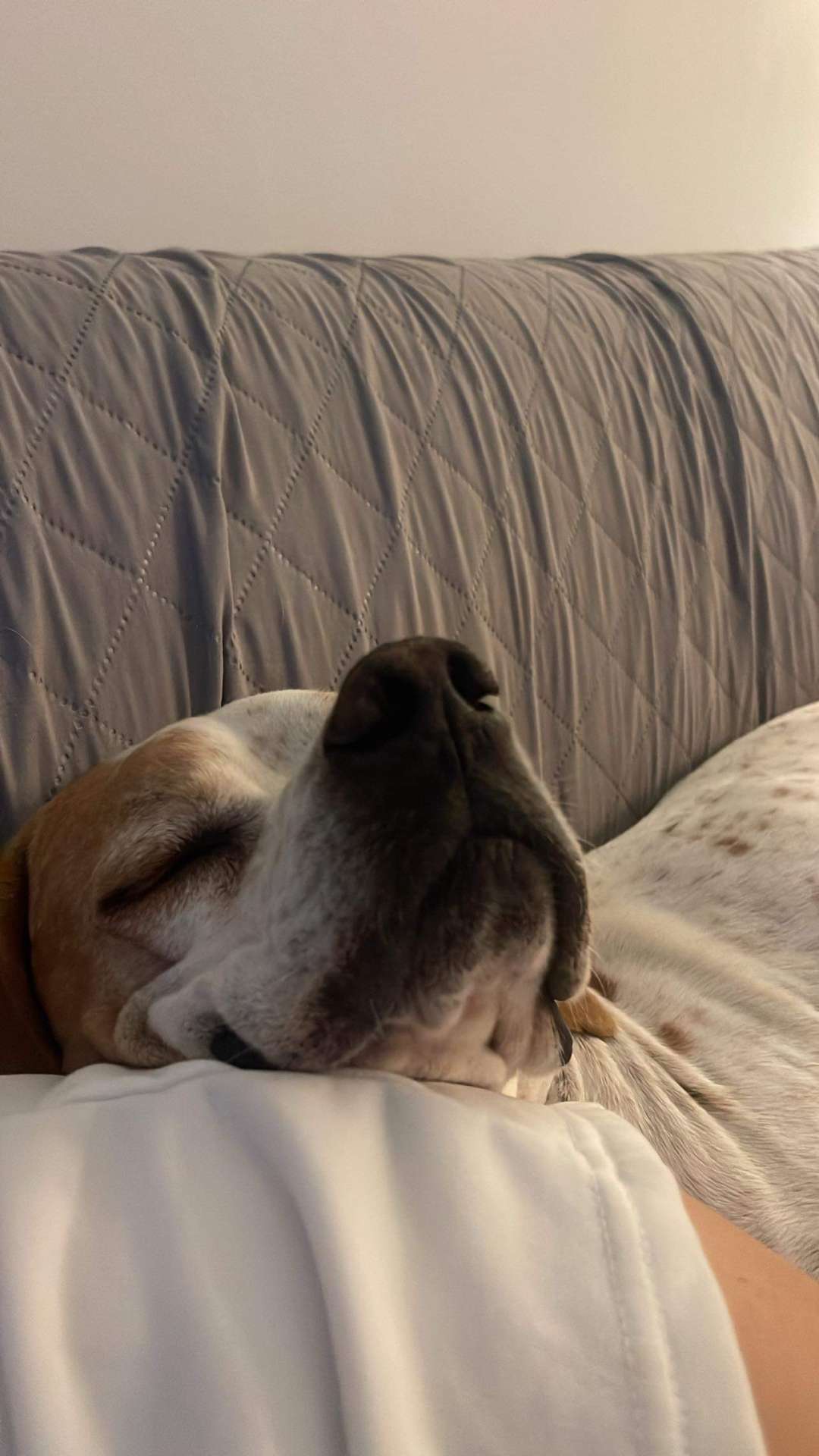 Chester