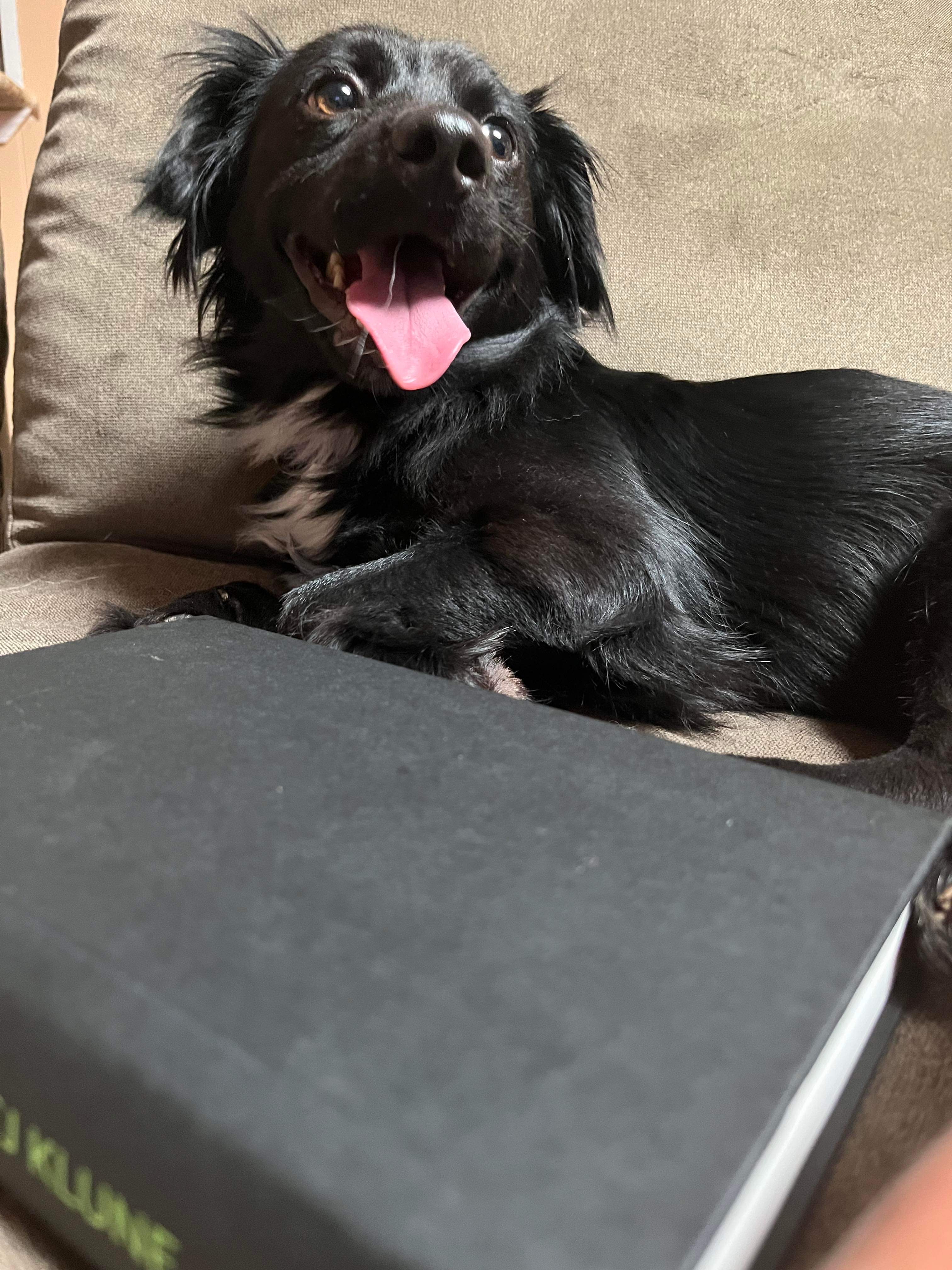 Java (fka Licorice)