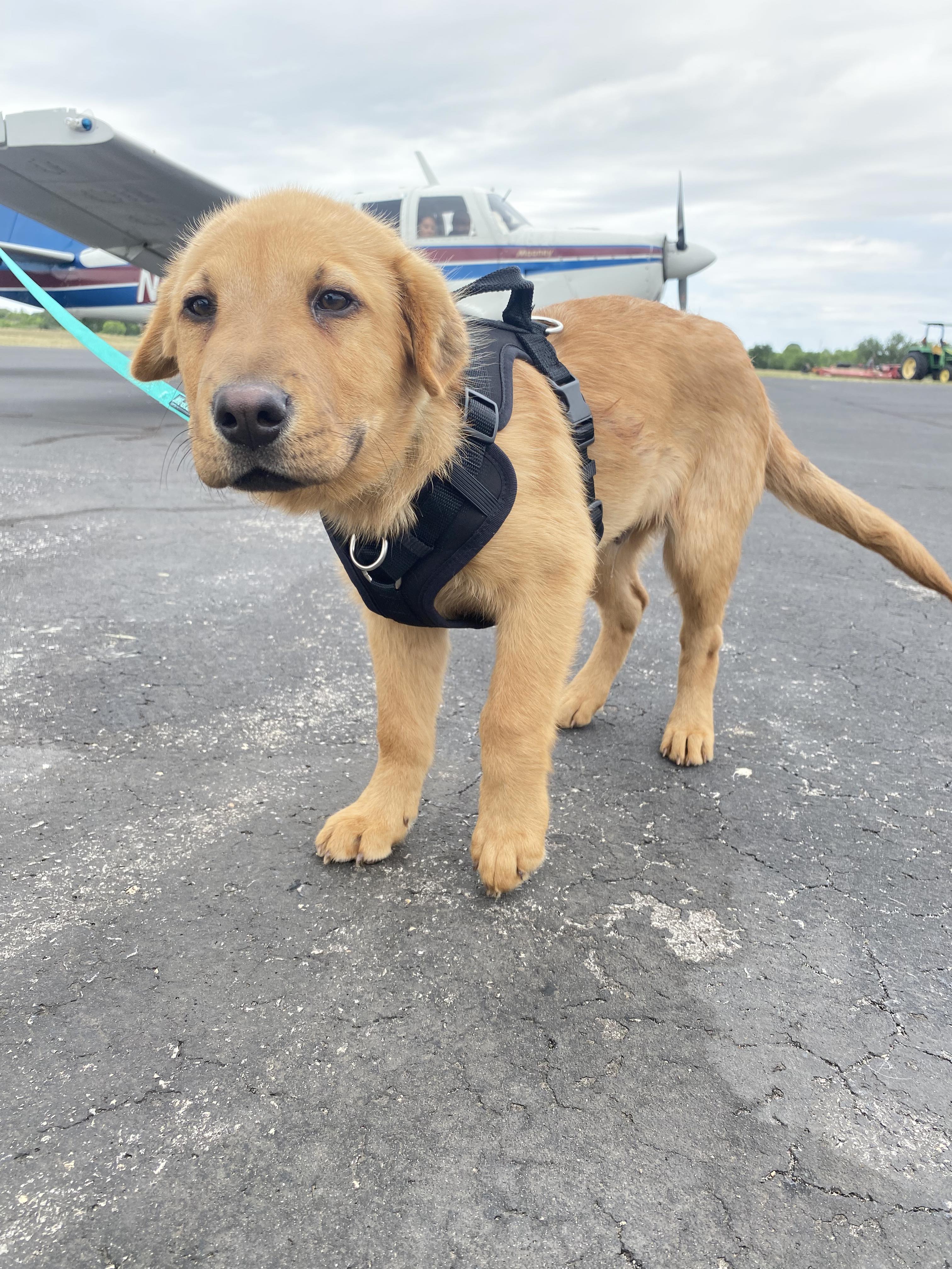 Sully
