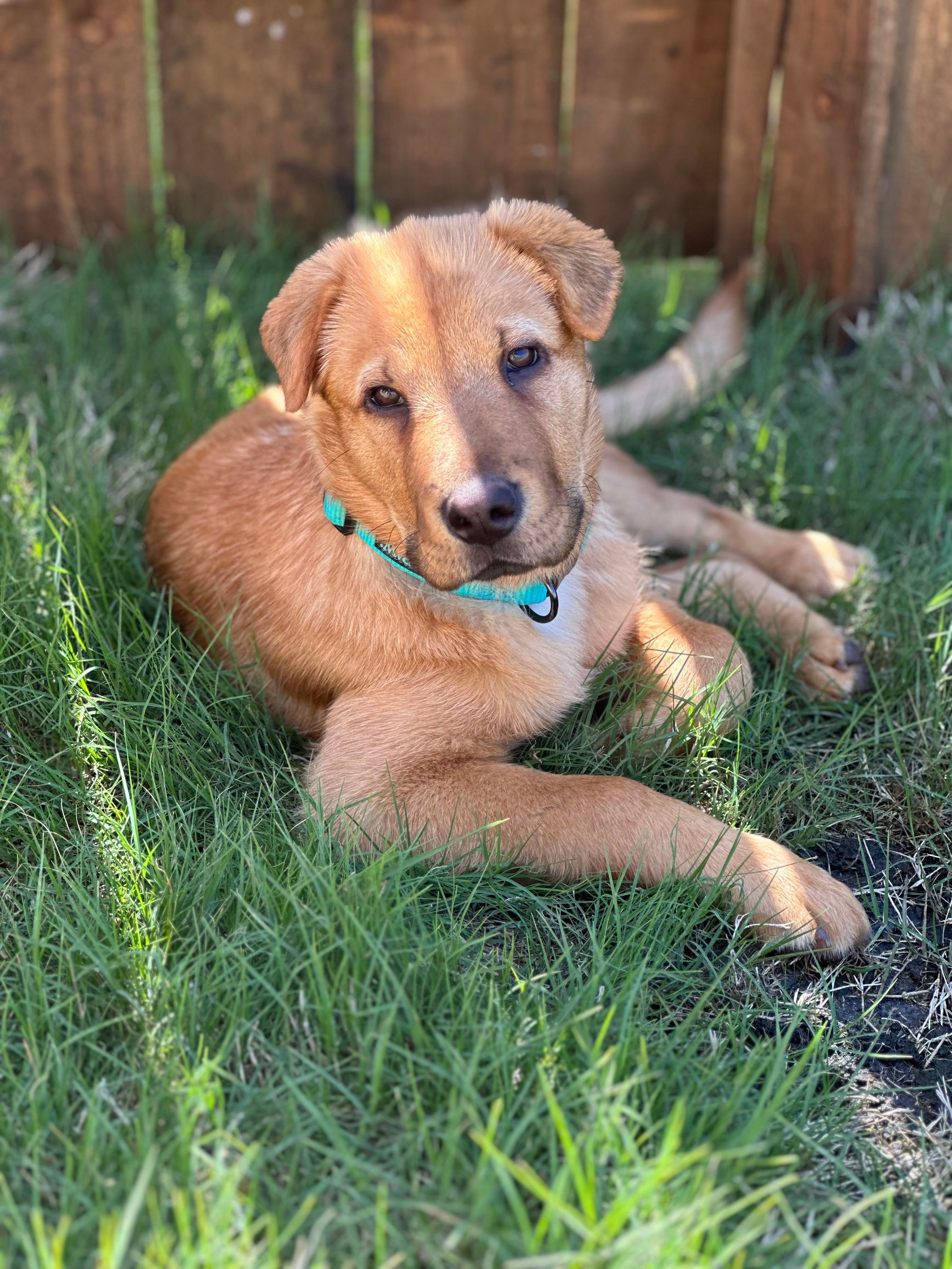 Sully