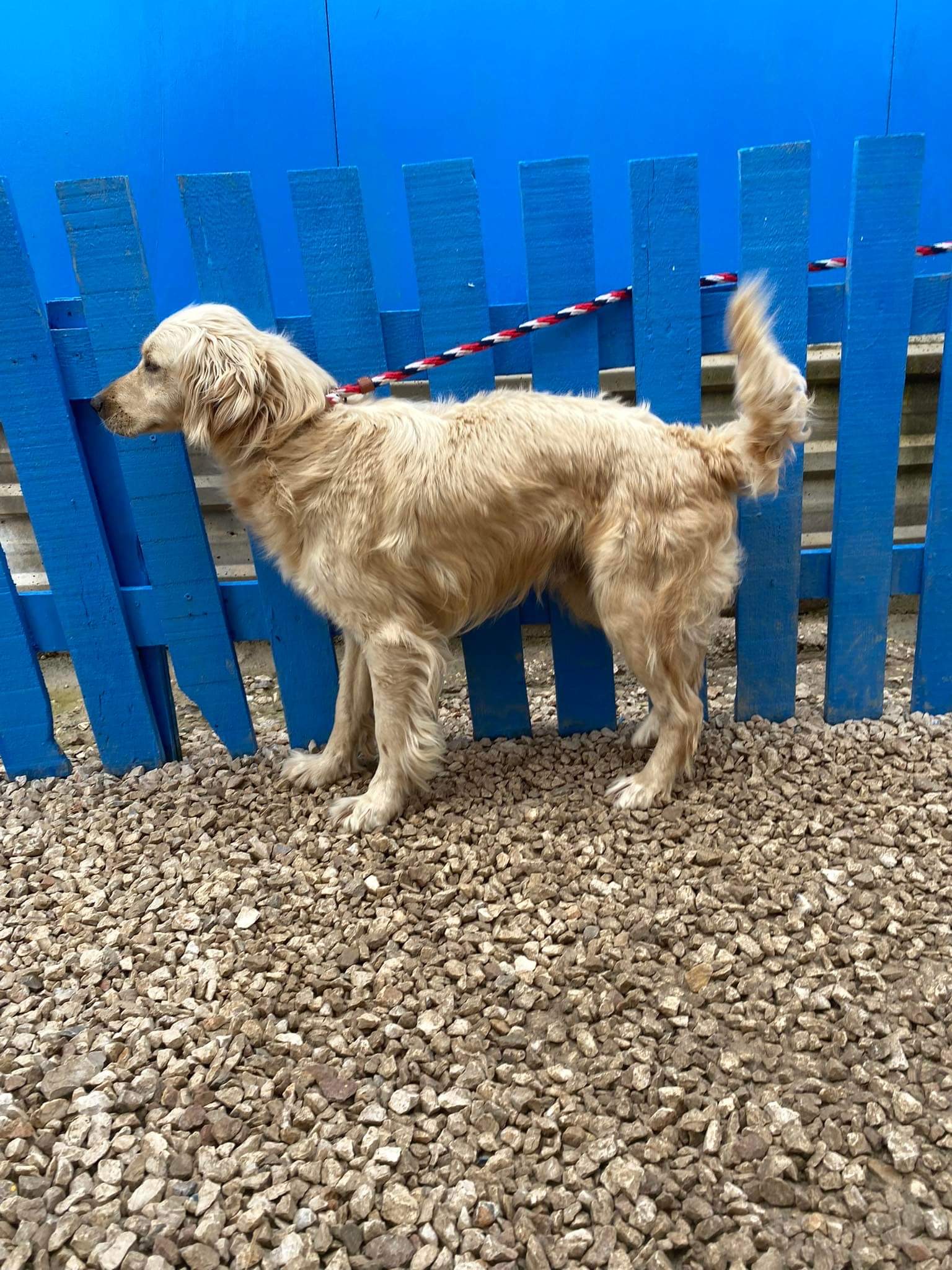 Sawyer - APPLICATION LIMIT EXCEEDED 