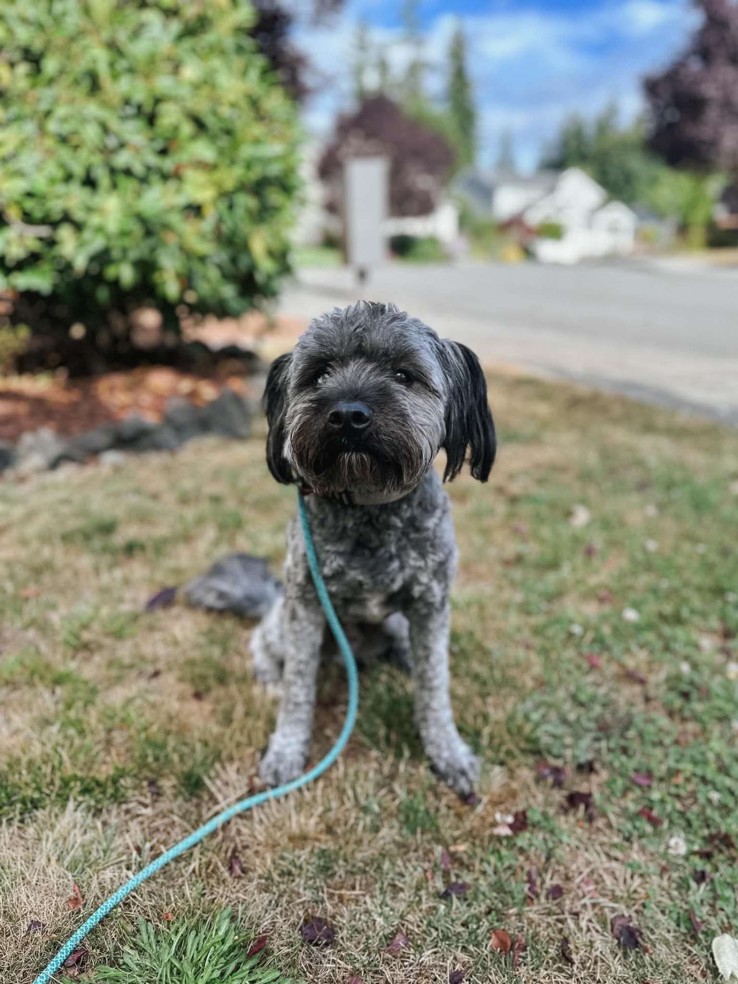 Winston