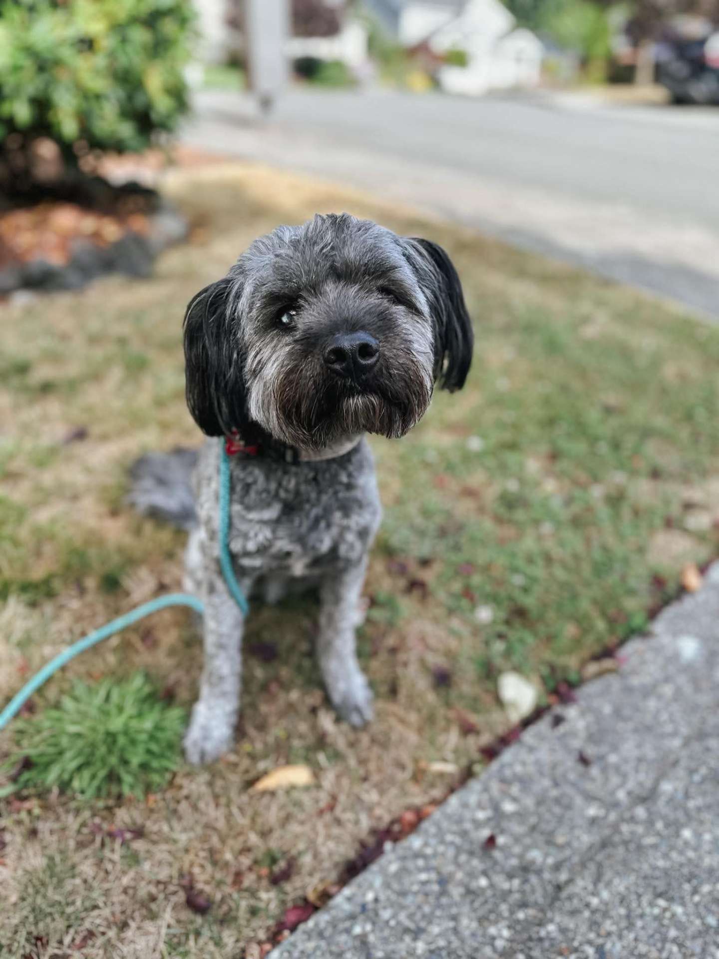 Winston