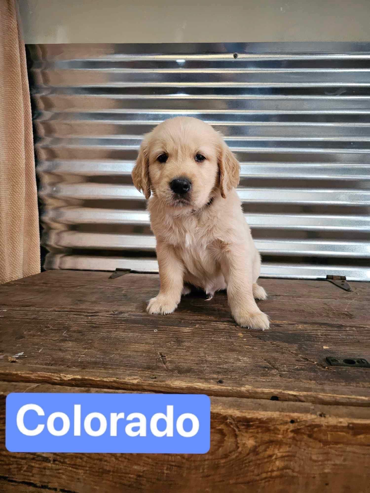 Colorado