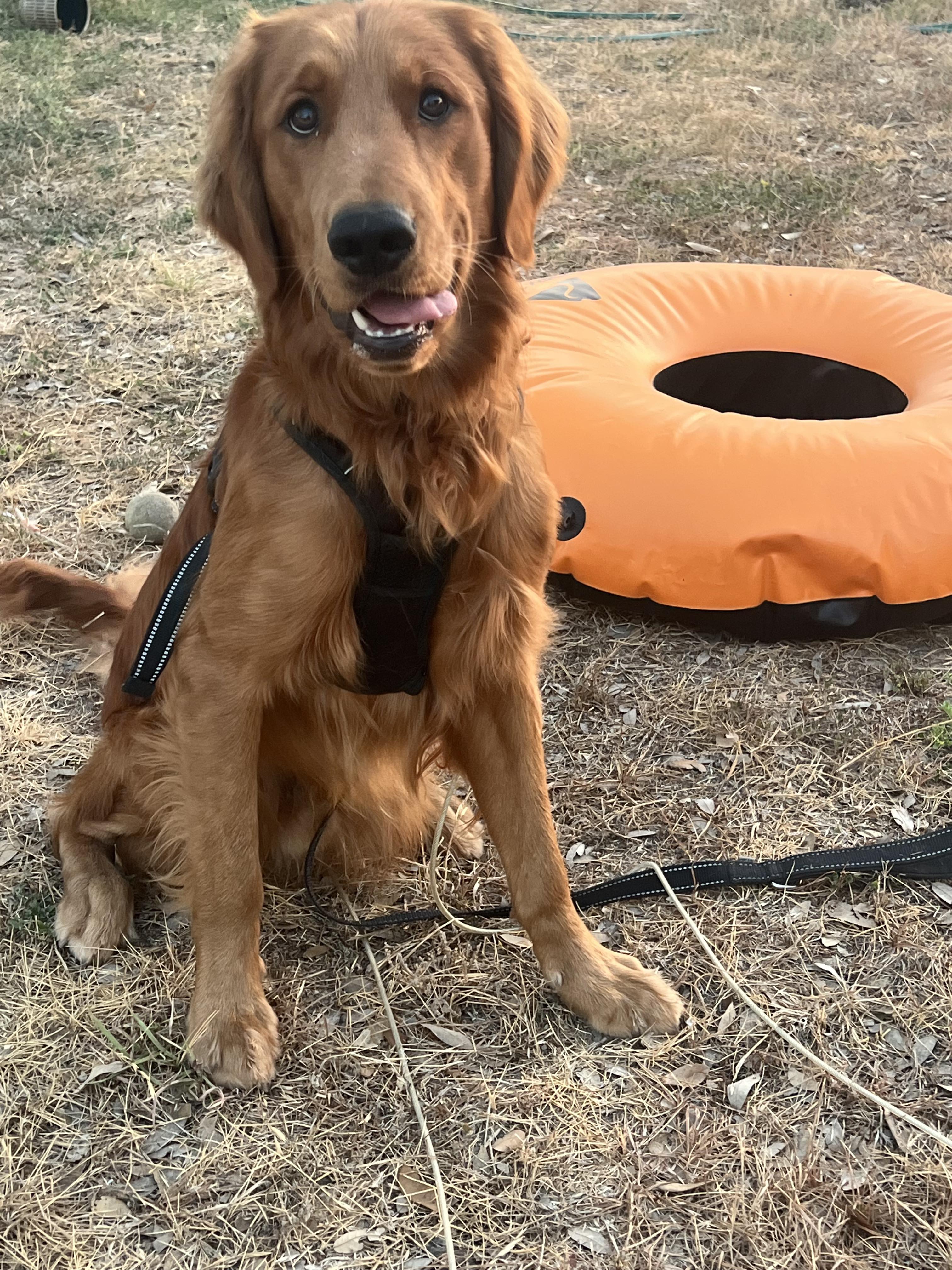 Opie