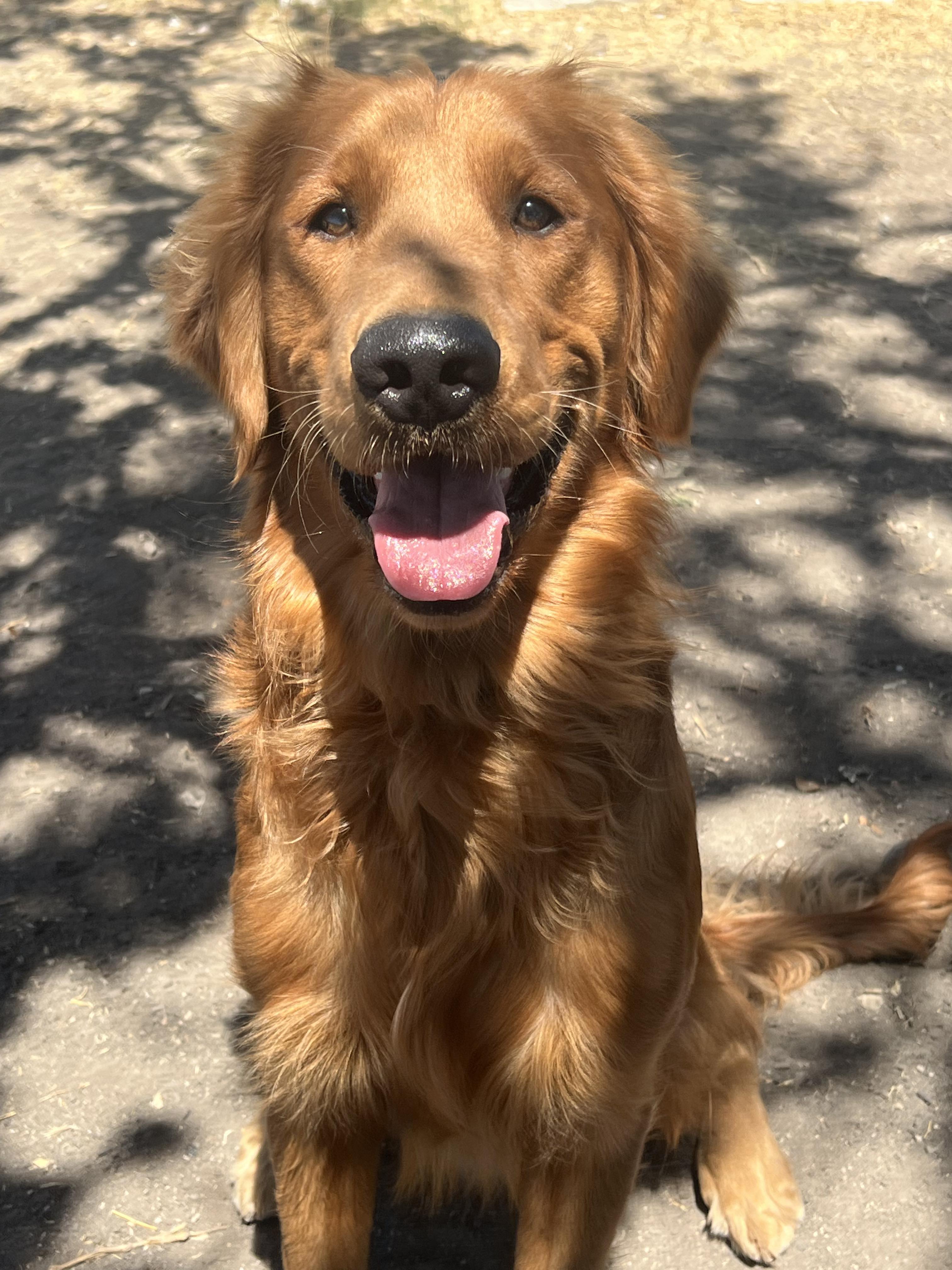 Opie