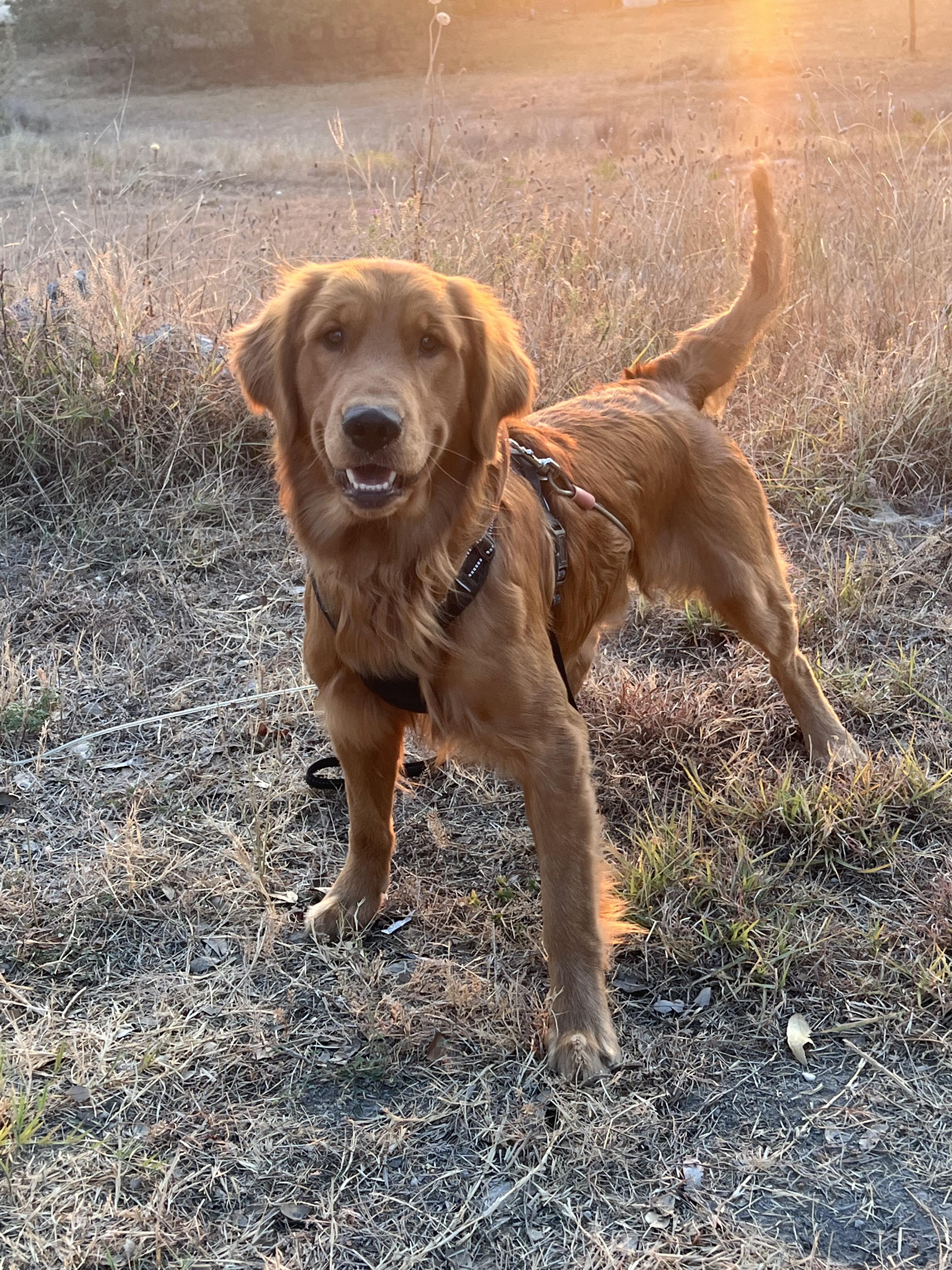 Jax 