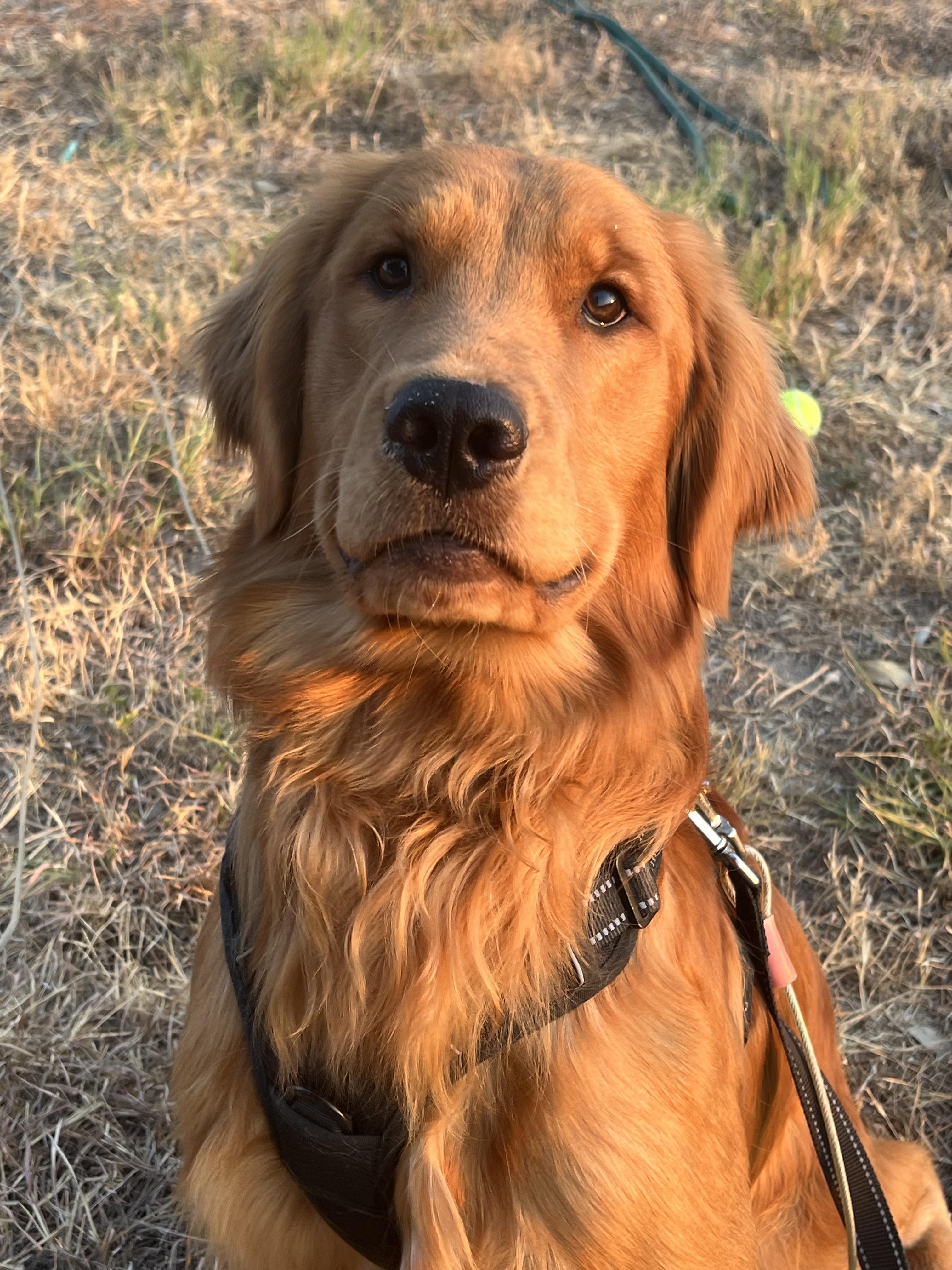 Jax 