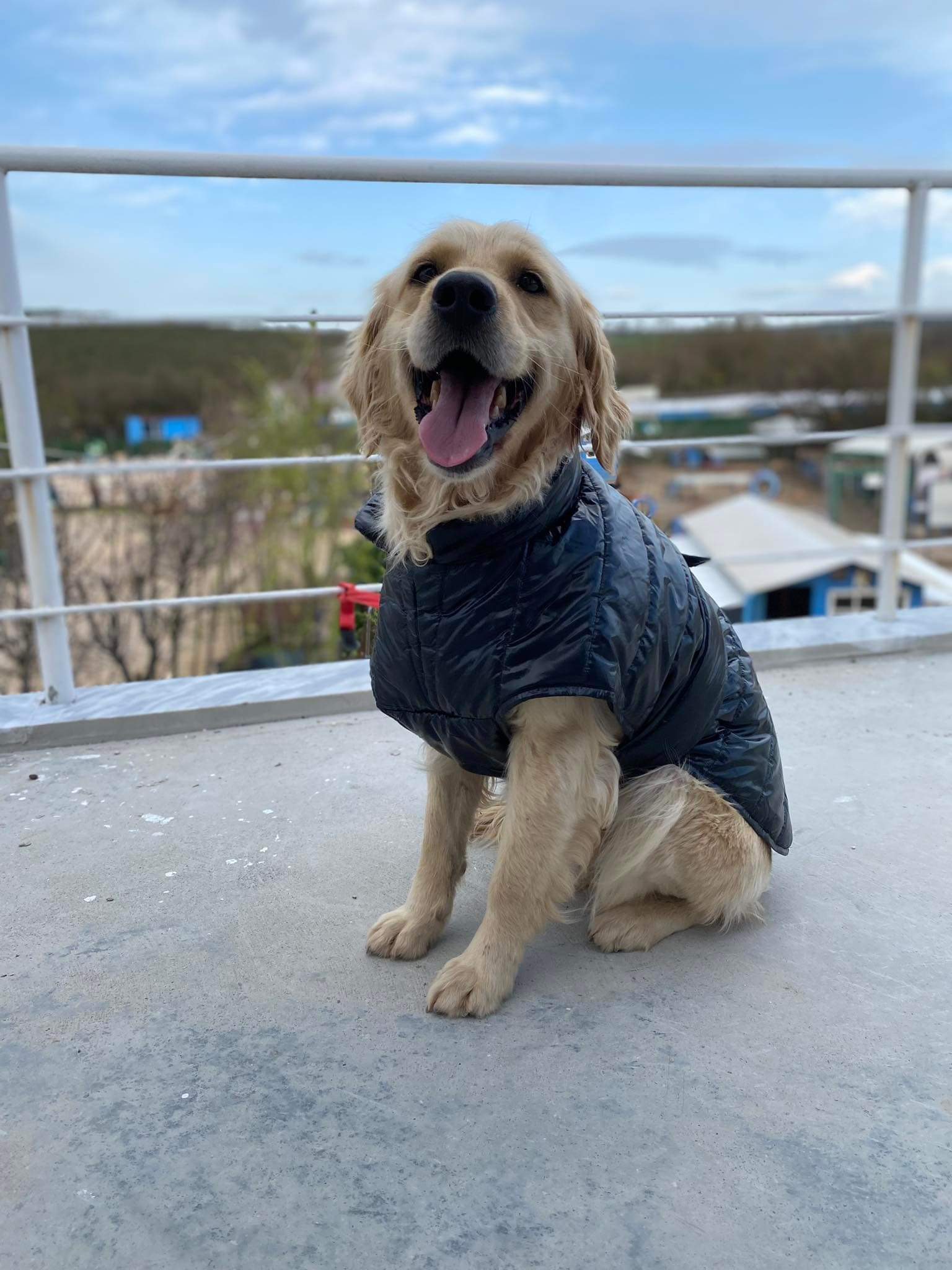 Lola 