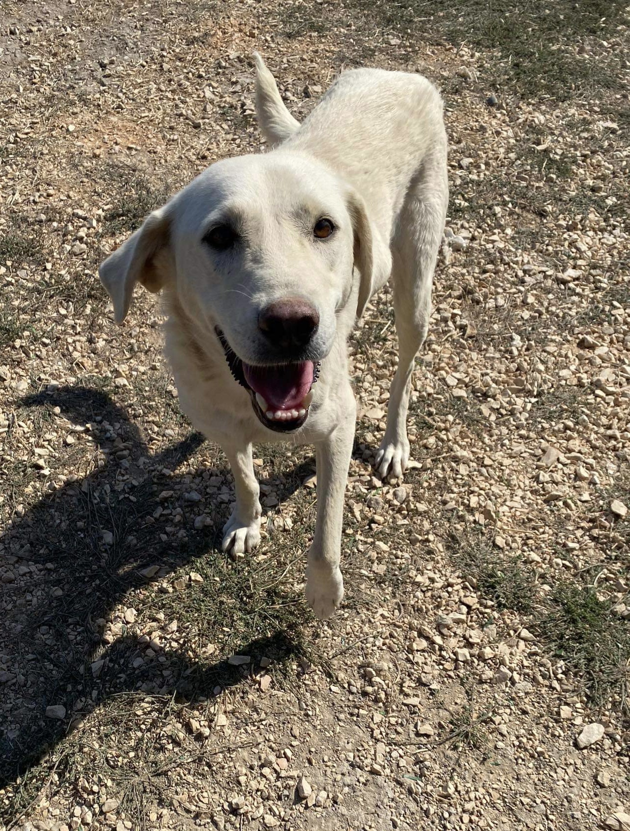 Zoey