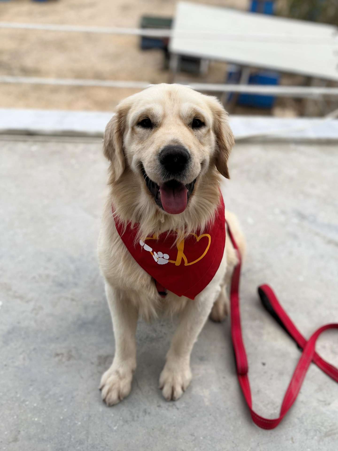 *ADOPTED* <br> Baker