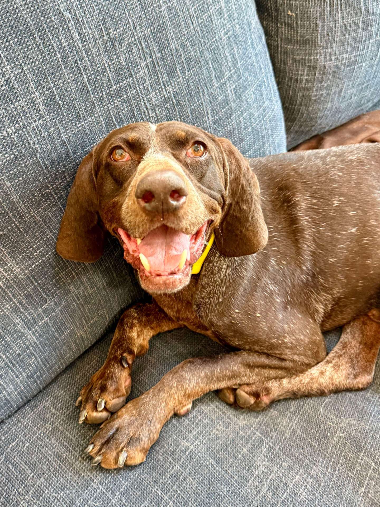 Duke