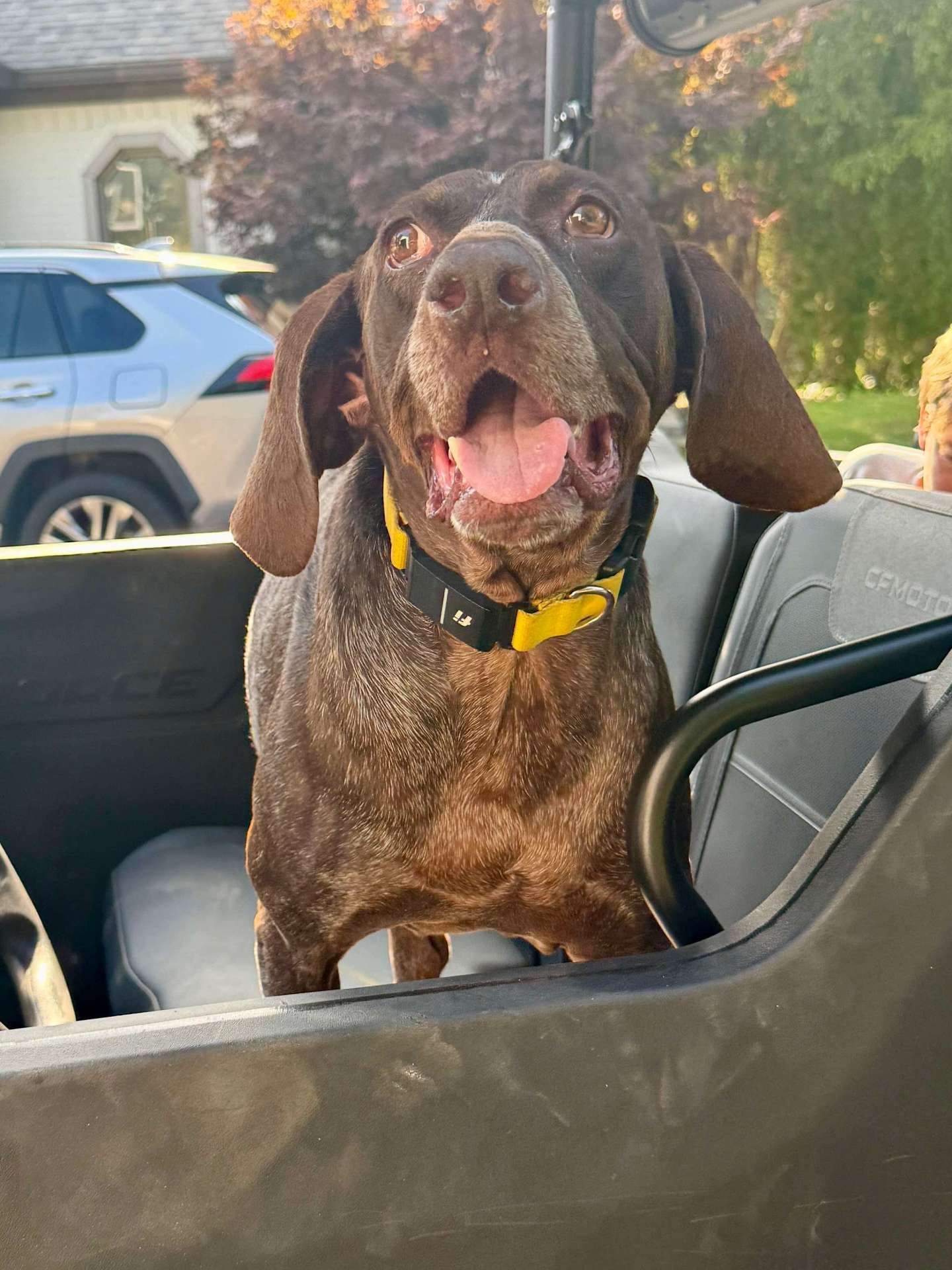 Duke