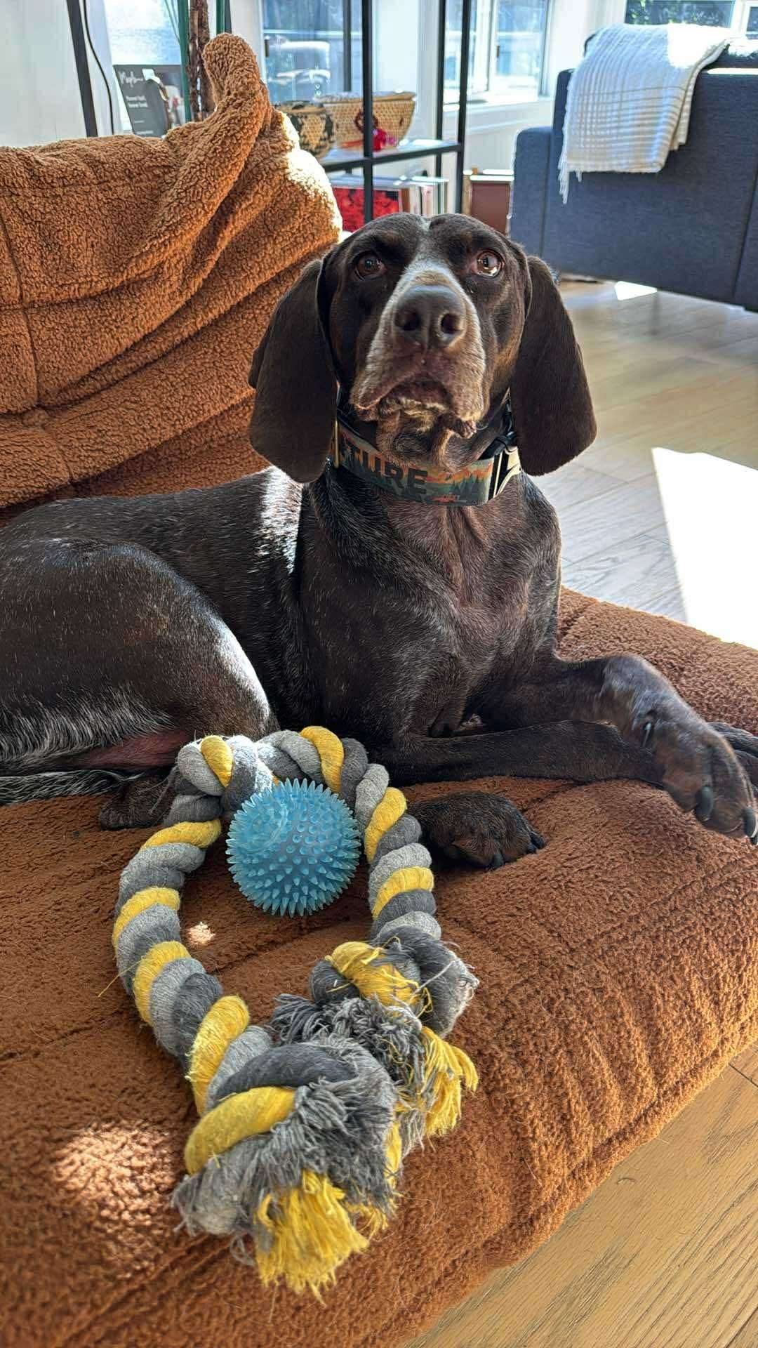 Duke