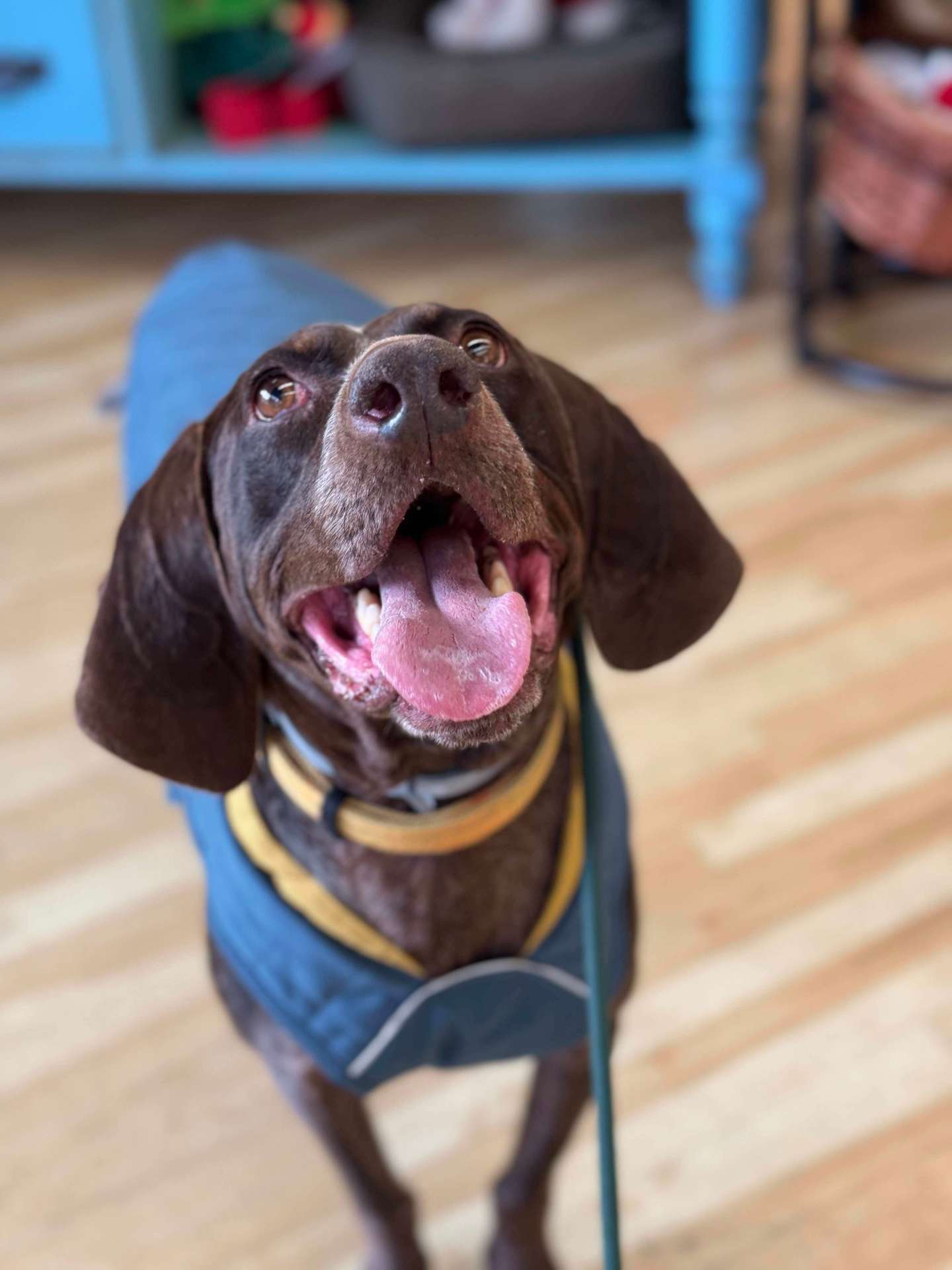 Duke