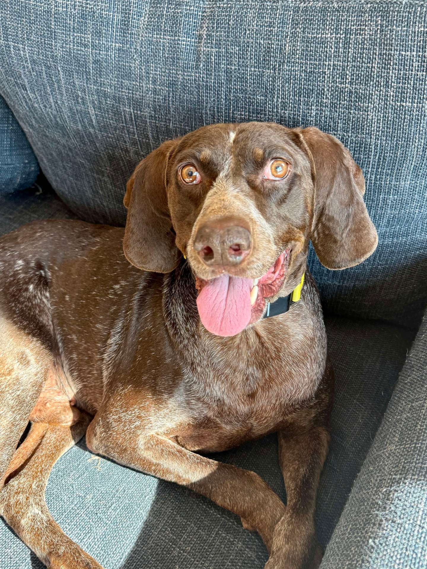 Duke