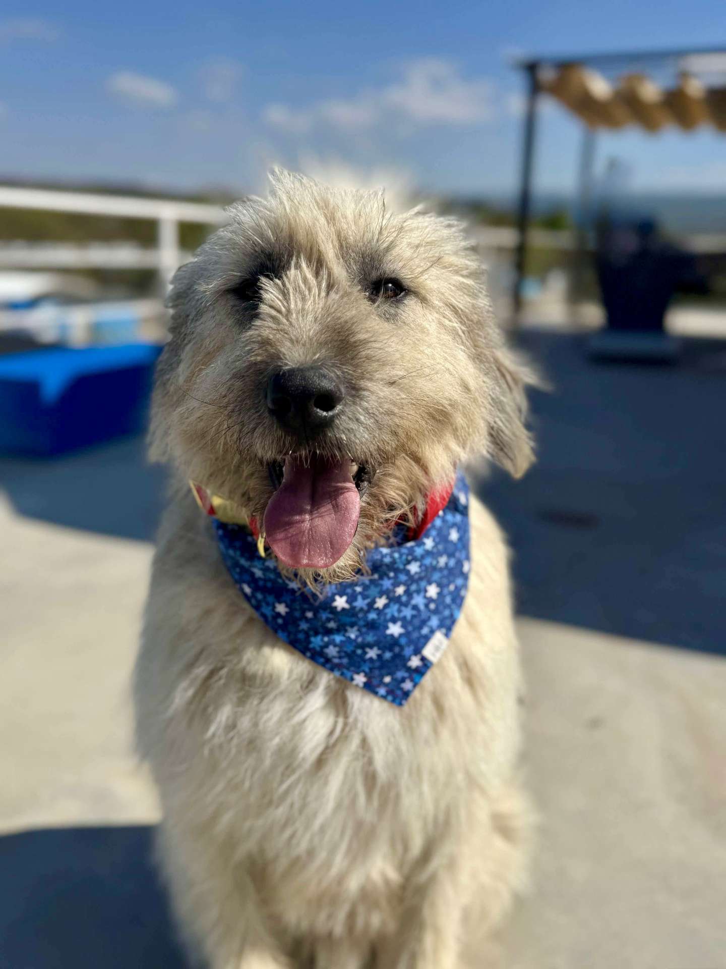 Archie 